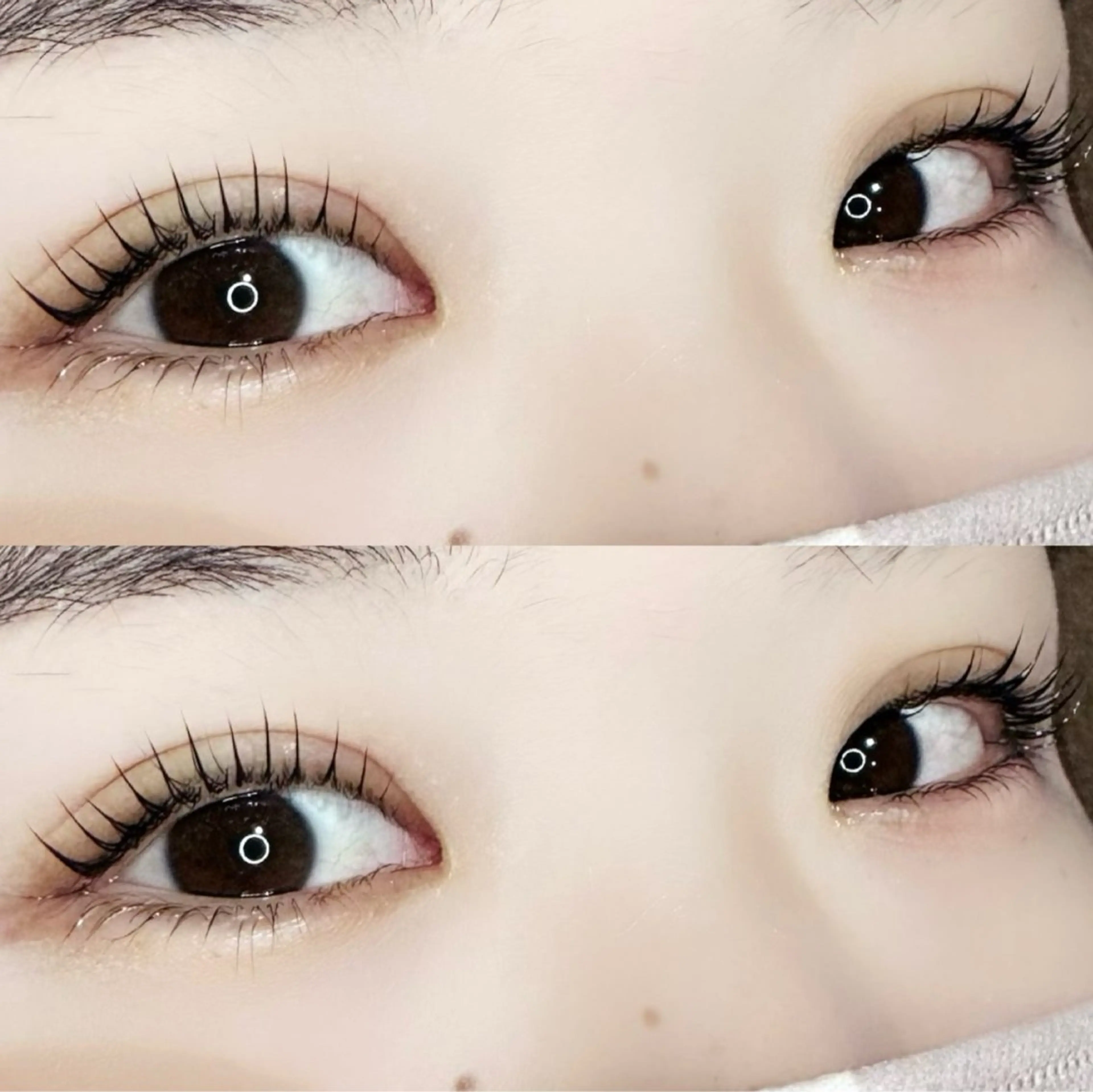 マツエク・マツパ 🦖fein. YUINA🦕⋆͛のマツエク・マツパデザイン