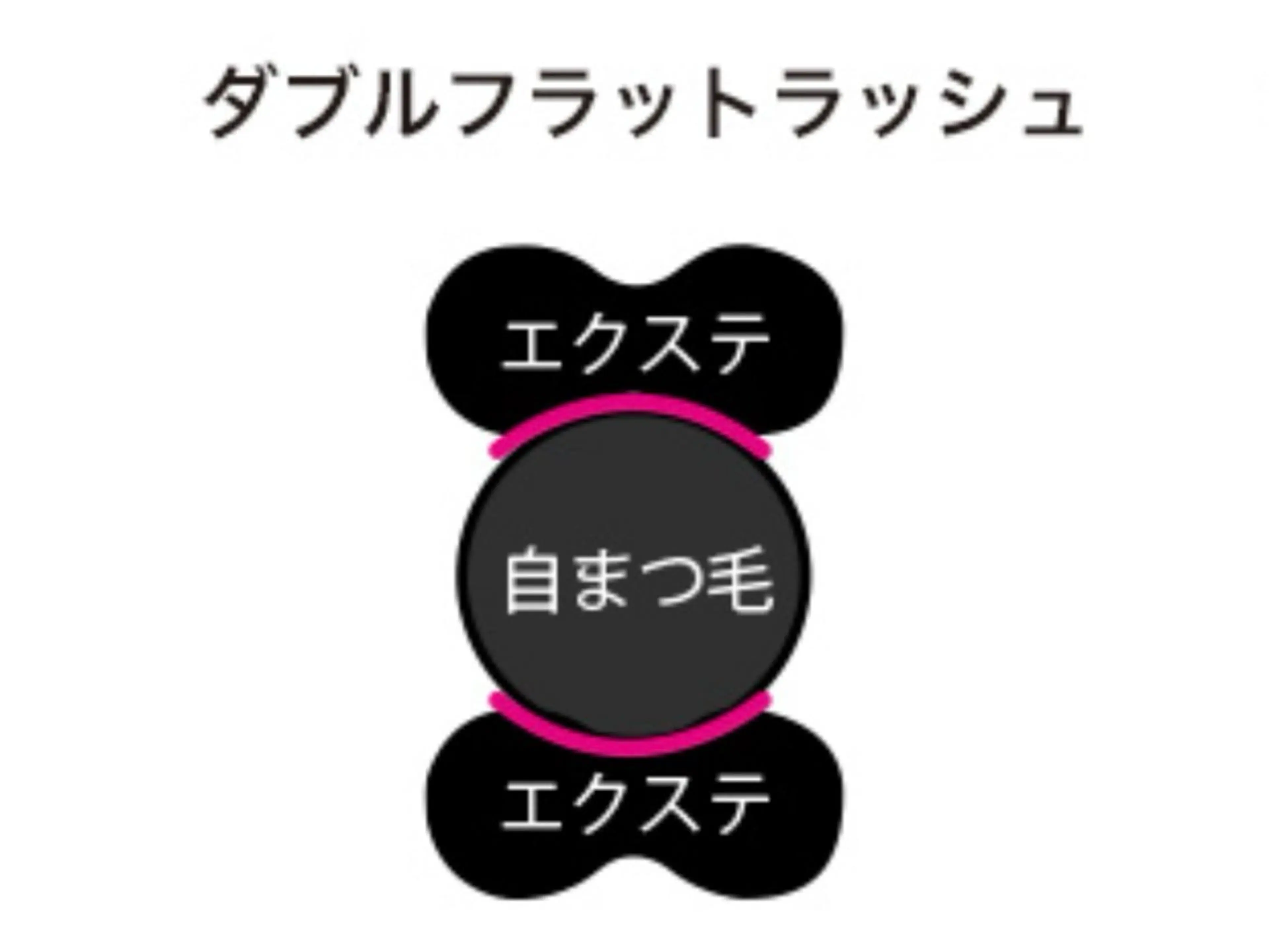 ダブルフラットラッシュ 両目60束の写真