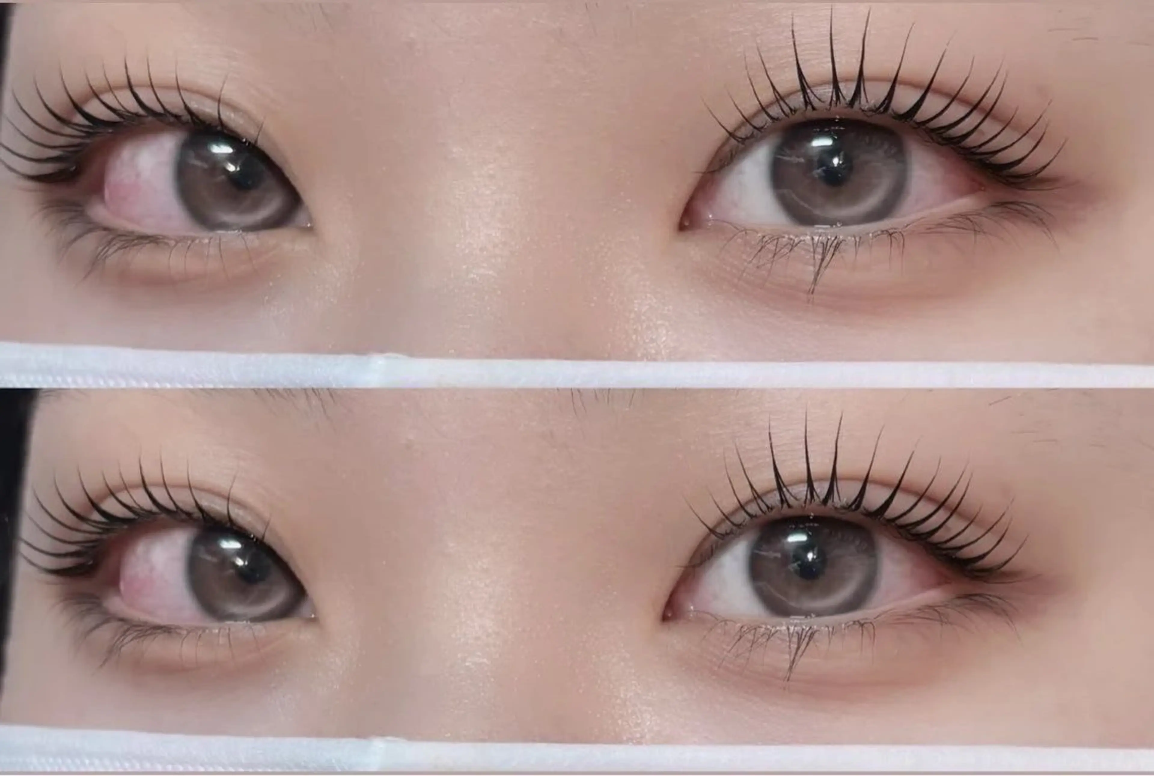 🌸まつげパーマ/ラッシュリフト🌸ケラチントリートメント無料🫧👀束感×ツヤ仕上げで今っぽ韓国eye《平塚駅》の写真