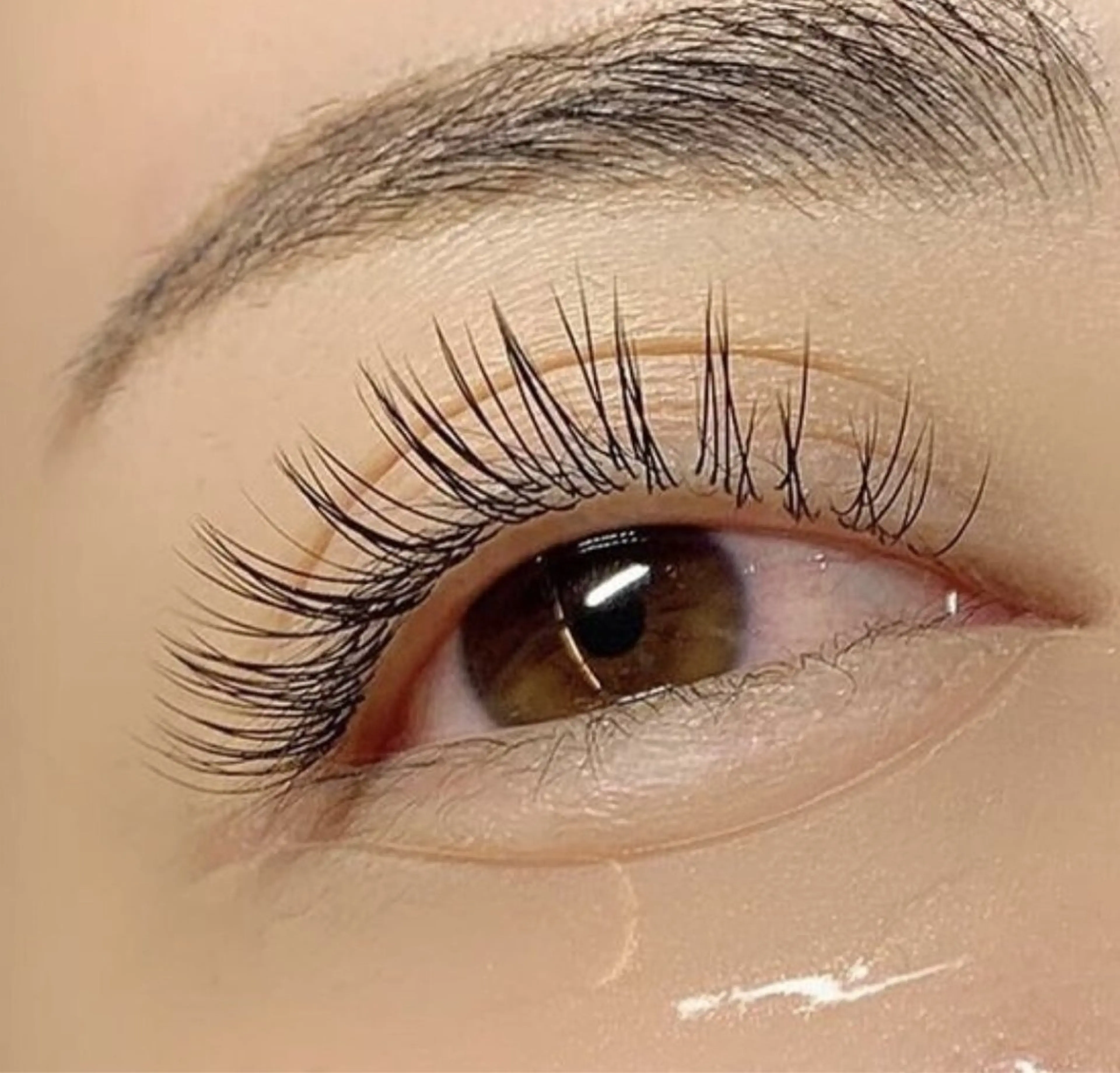 フラットラッシュ120本の写真