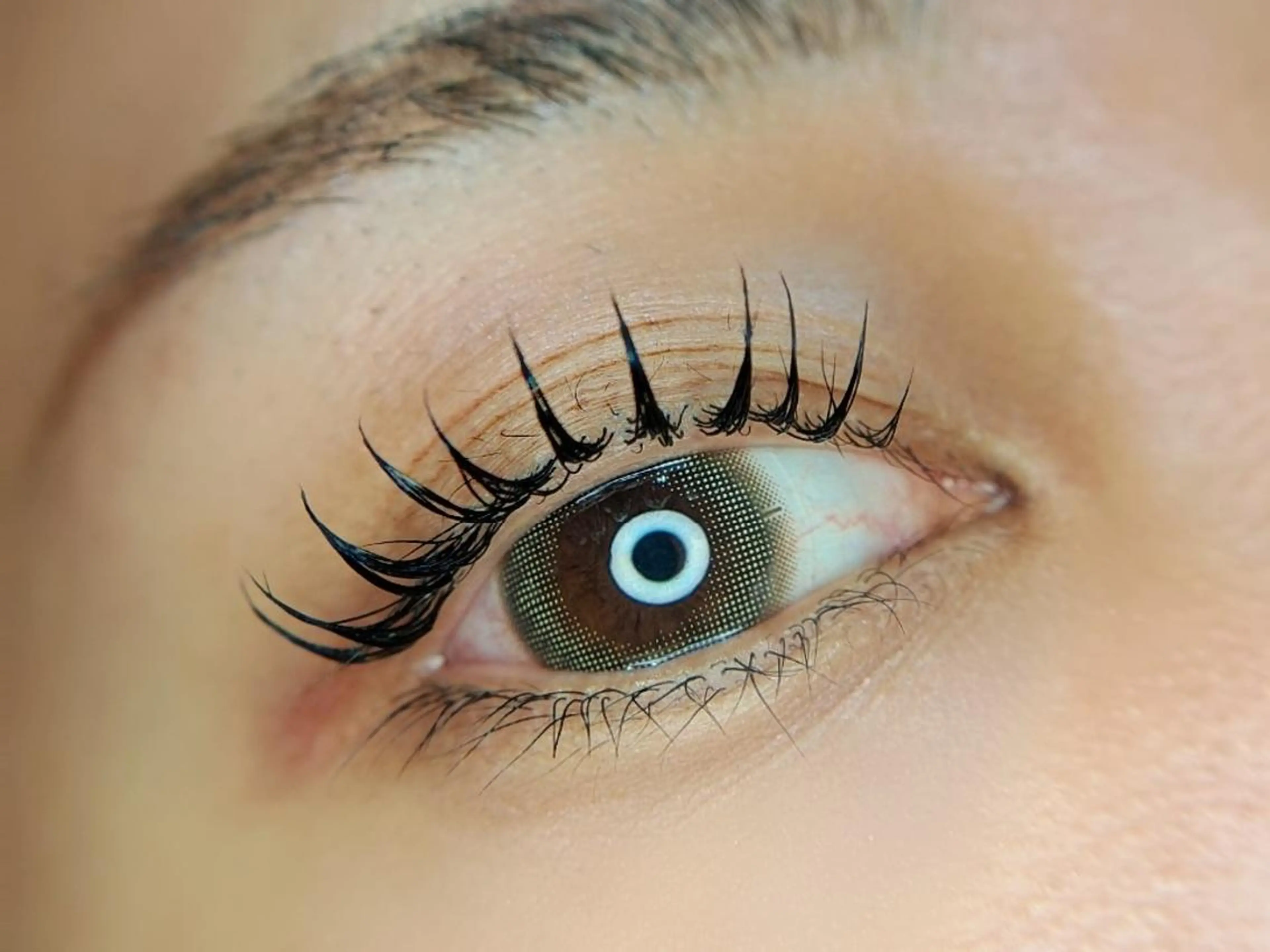 🌻マツエクモデル フラット120本オフ込みの写真