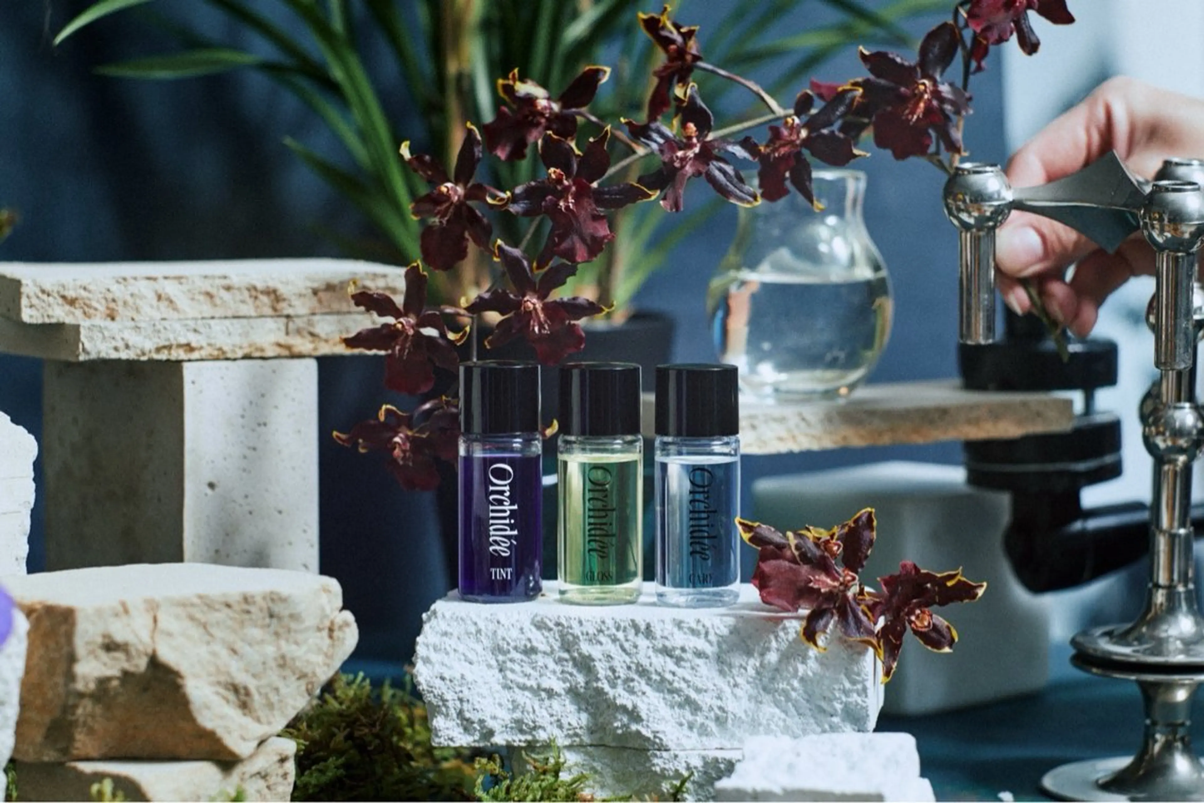 ワンカラー➕話題沸騰‼️🌟【Orchide'eオイル20ml】プレゼント(3種類の中からお好きな香り1種類🎁✨️)の写真