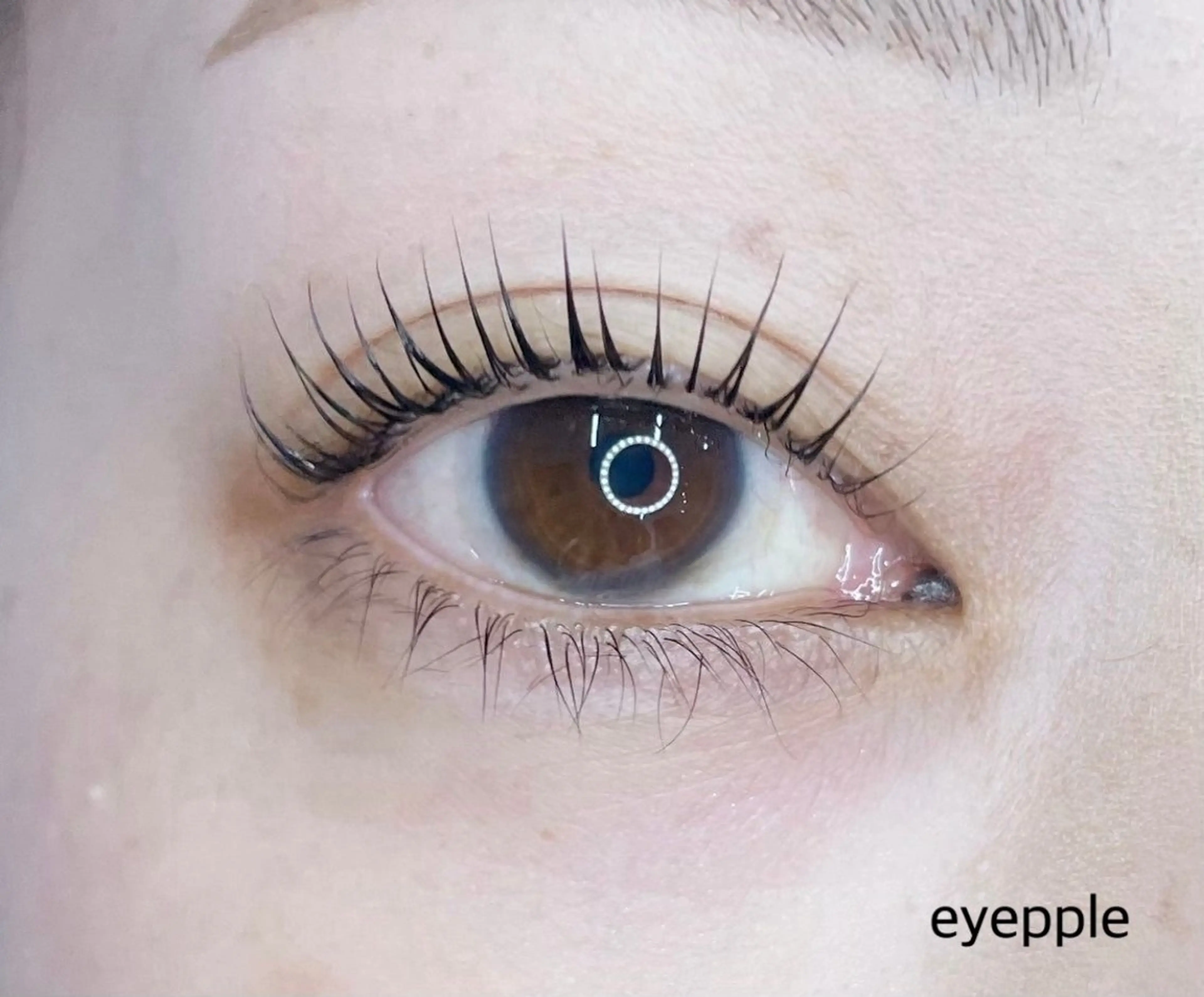 マツエク・マツパ eyepple あやのマツエク・マツパデザイン