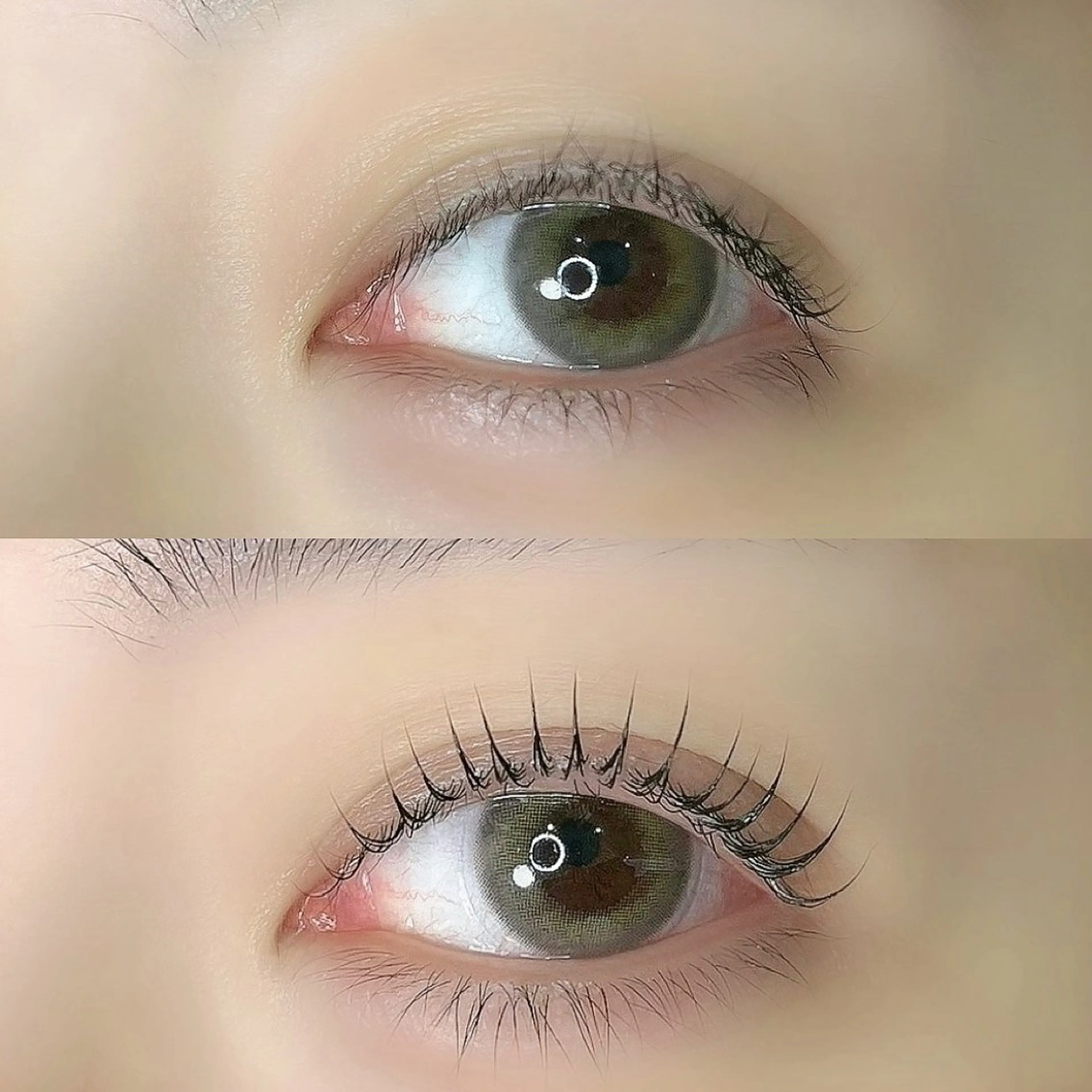 マツエク・マツパ パリジェンヌラッシュリフト Lilacia まつげパーマ/マツエク/眉【リラシア】所属・Misato 【尾山台】のマツエク・マツパデザイン