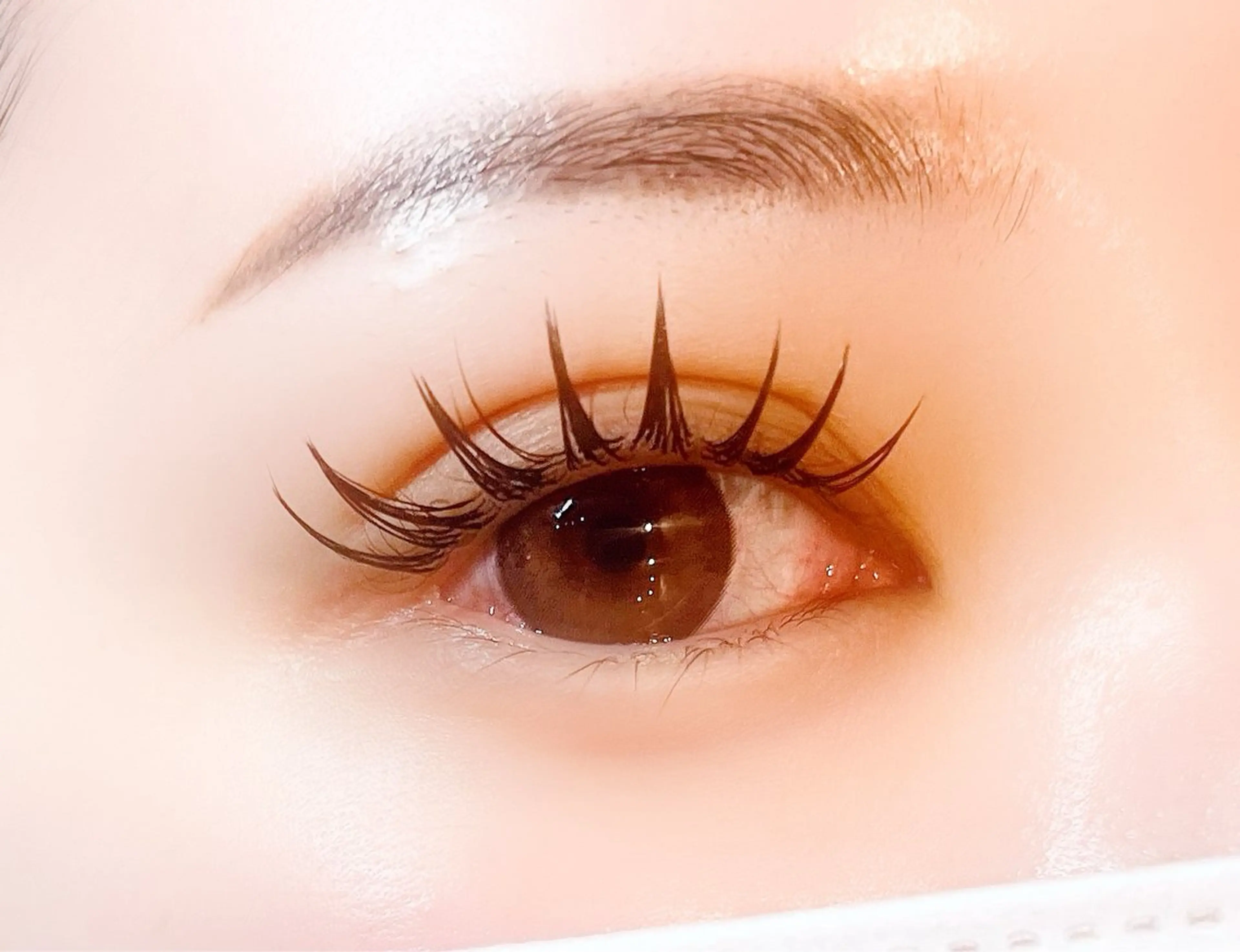 フラットラッシュ　つけ放題　【アイシャンプー付き】の写真