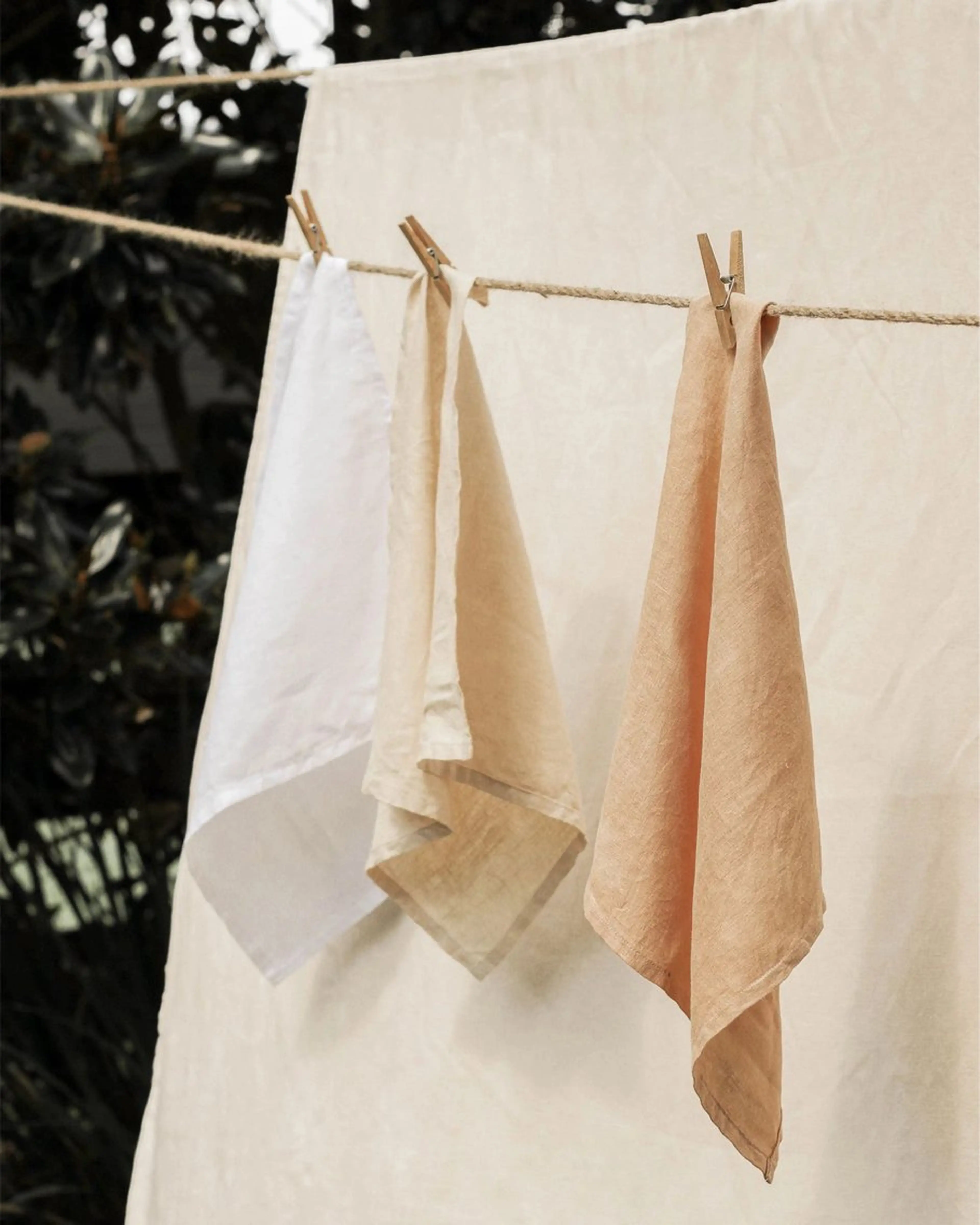 カラー パーソナルカラー診断 骨格・顔診断🪞カナのその他イメージ