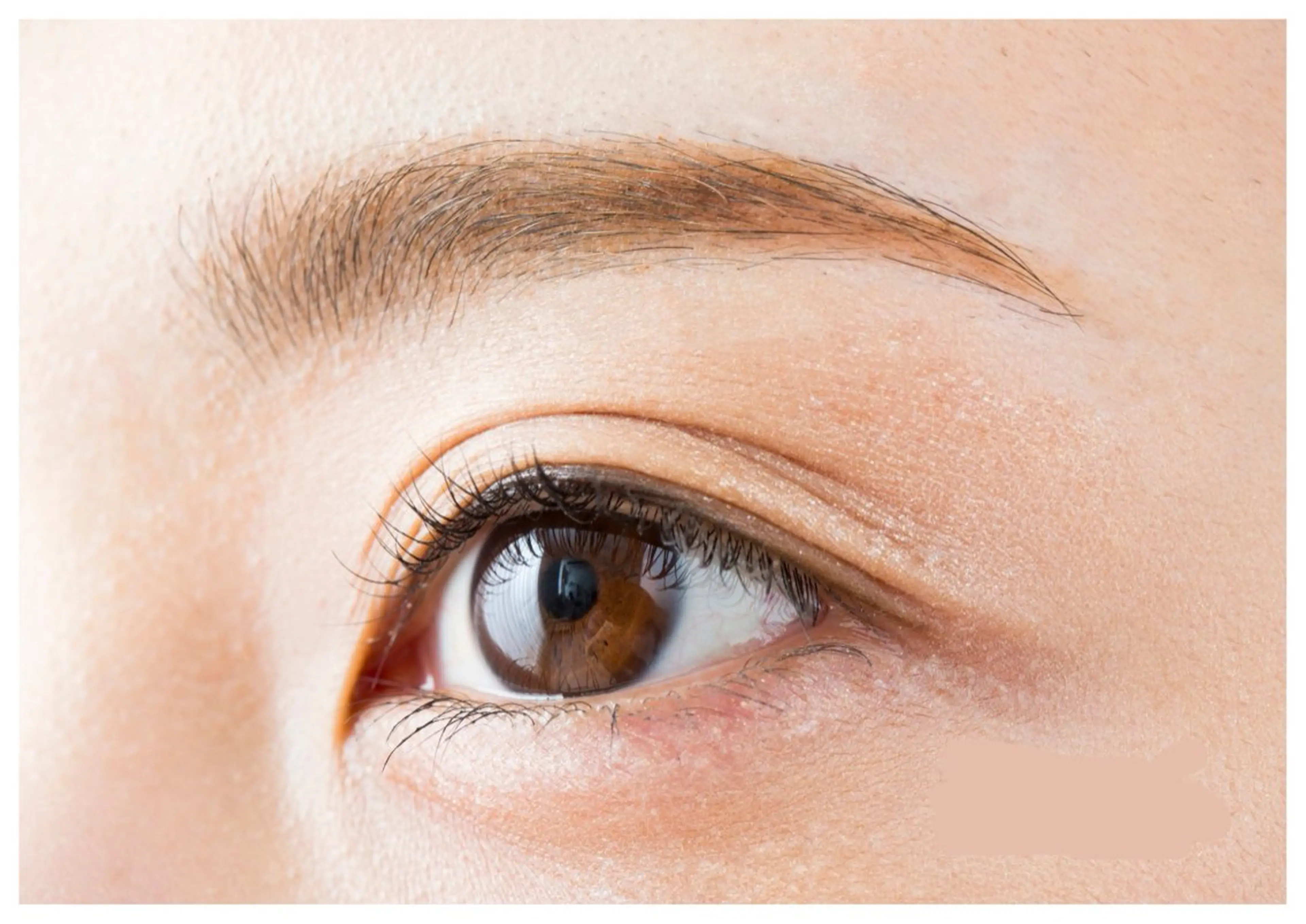 アイブロウWAX メイク仕上げ込みの写真