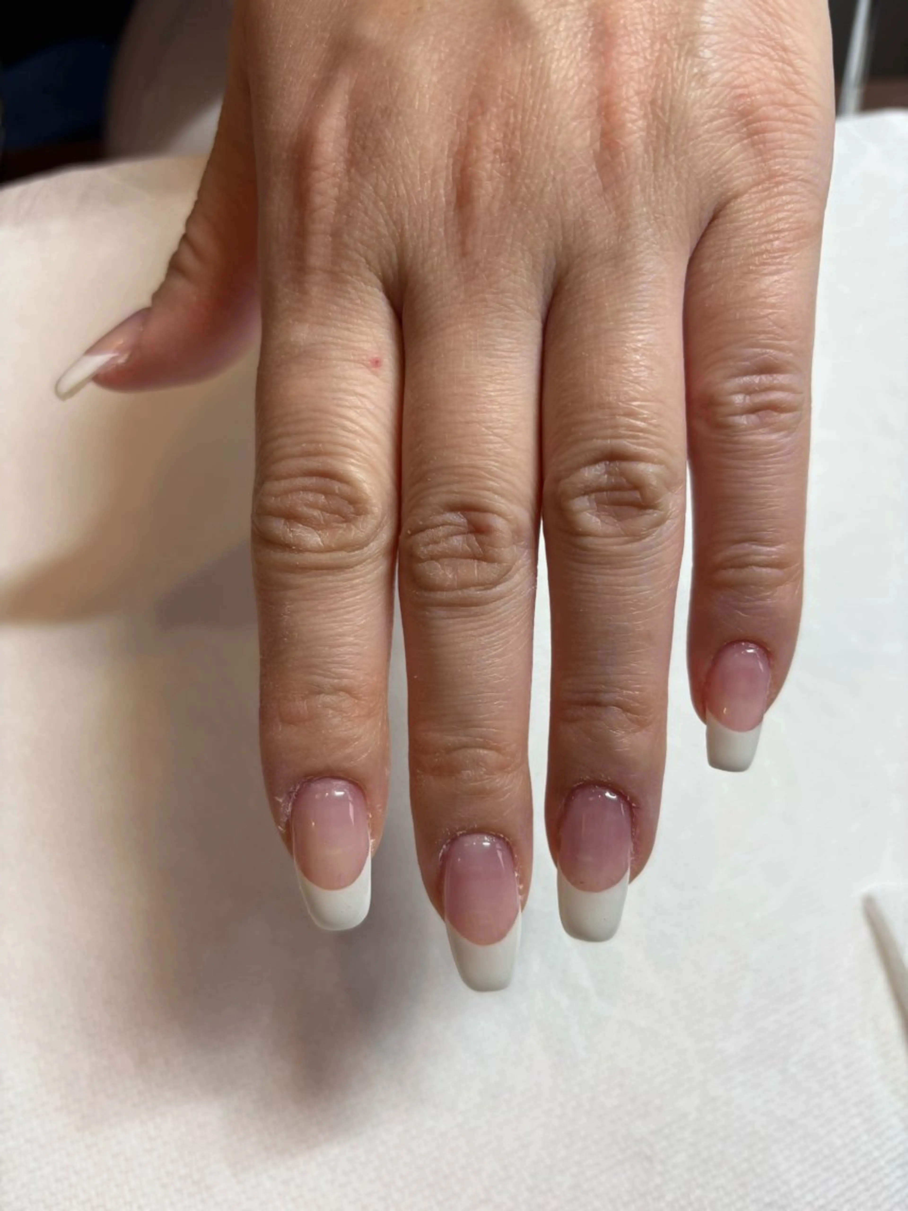 (オフ込み)フレンチ+アート2本の写真