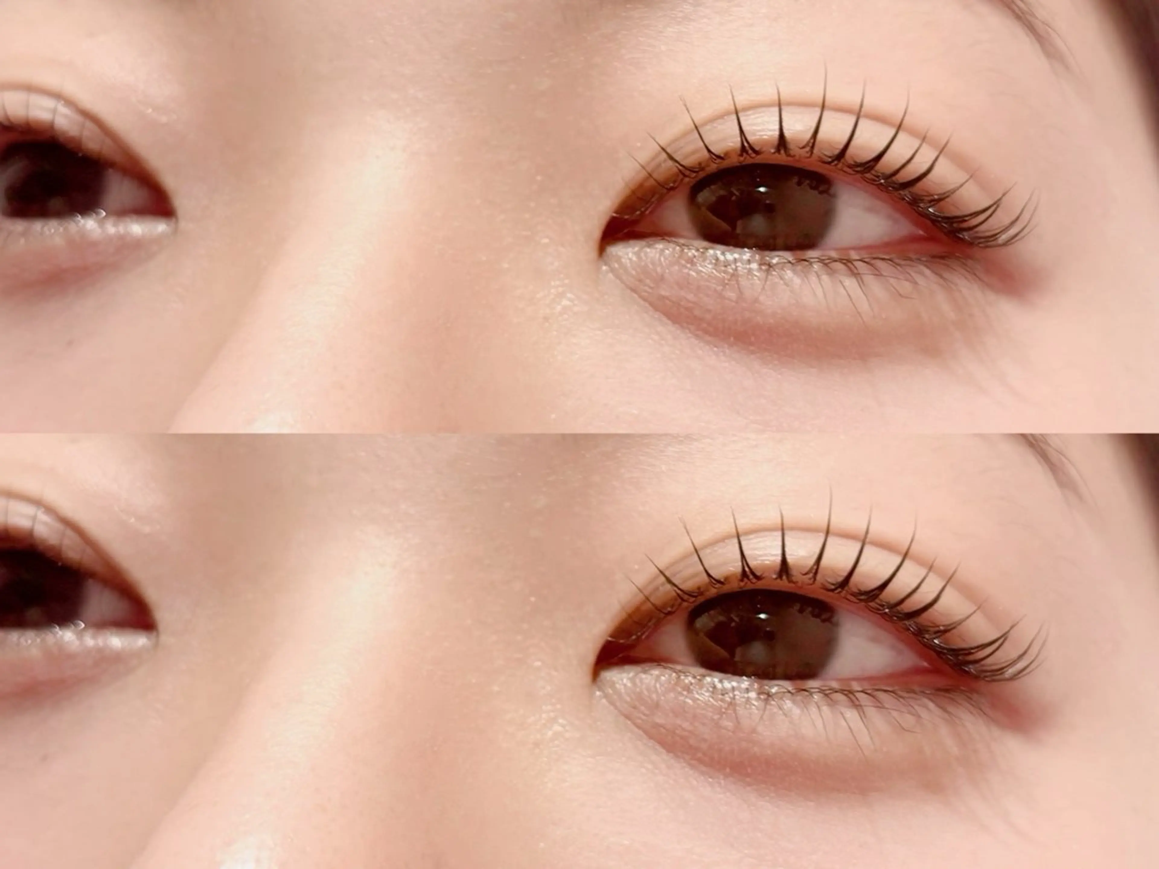 本日限定✨✨アッパーリフトカール&眉毛ワックス 10800円→7150円の写真