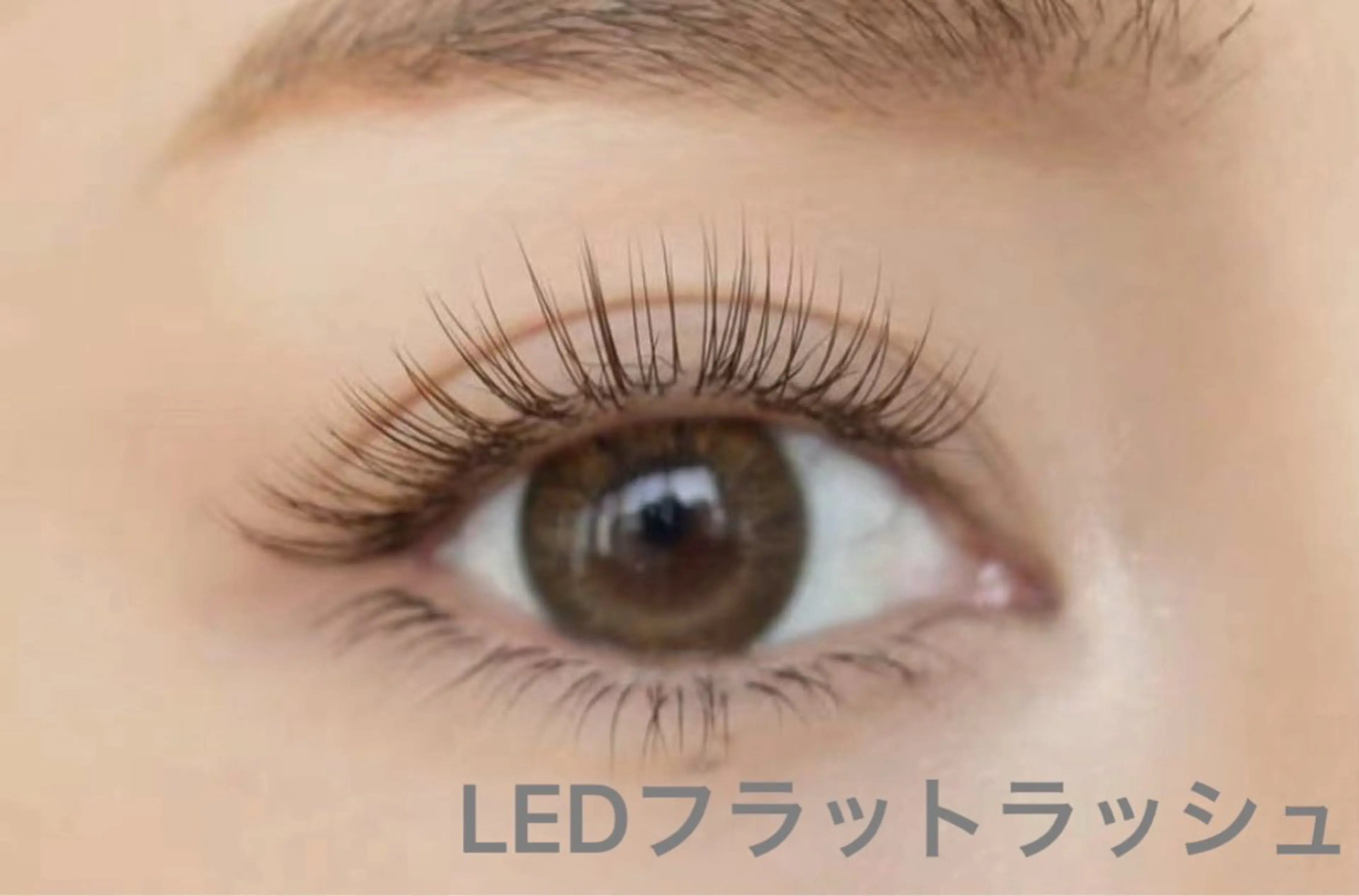 マツエク・マツパ マツエク salon de Reiのマツエク・マツパデザイン