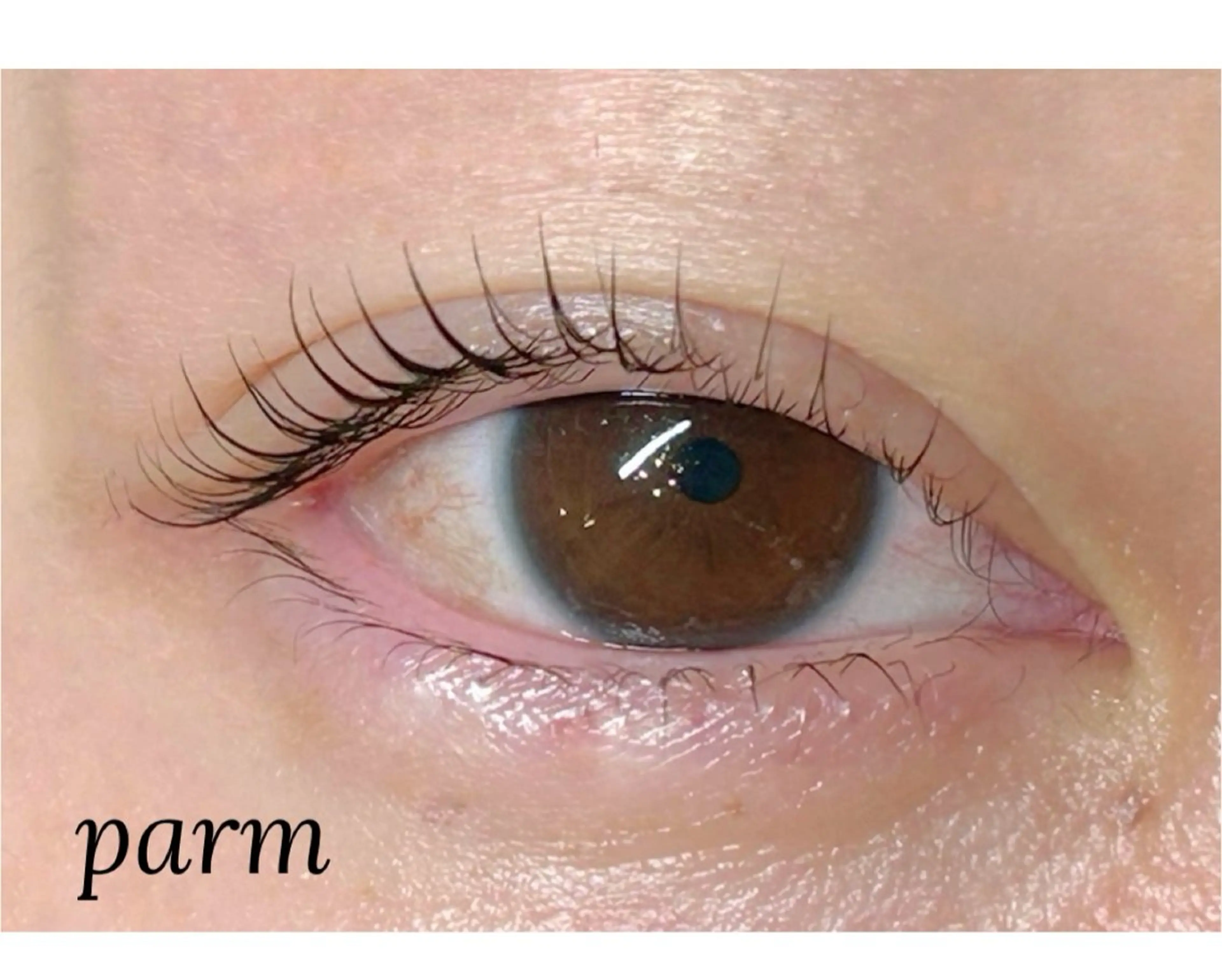 マツエク・マツパ blue アイリのマツエク・マツパデザイン