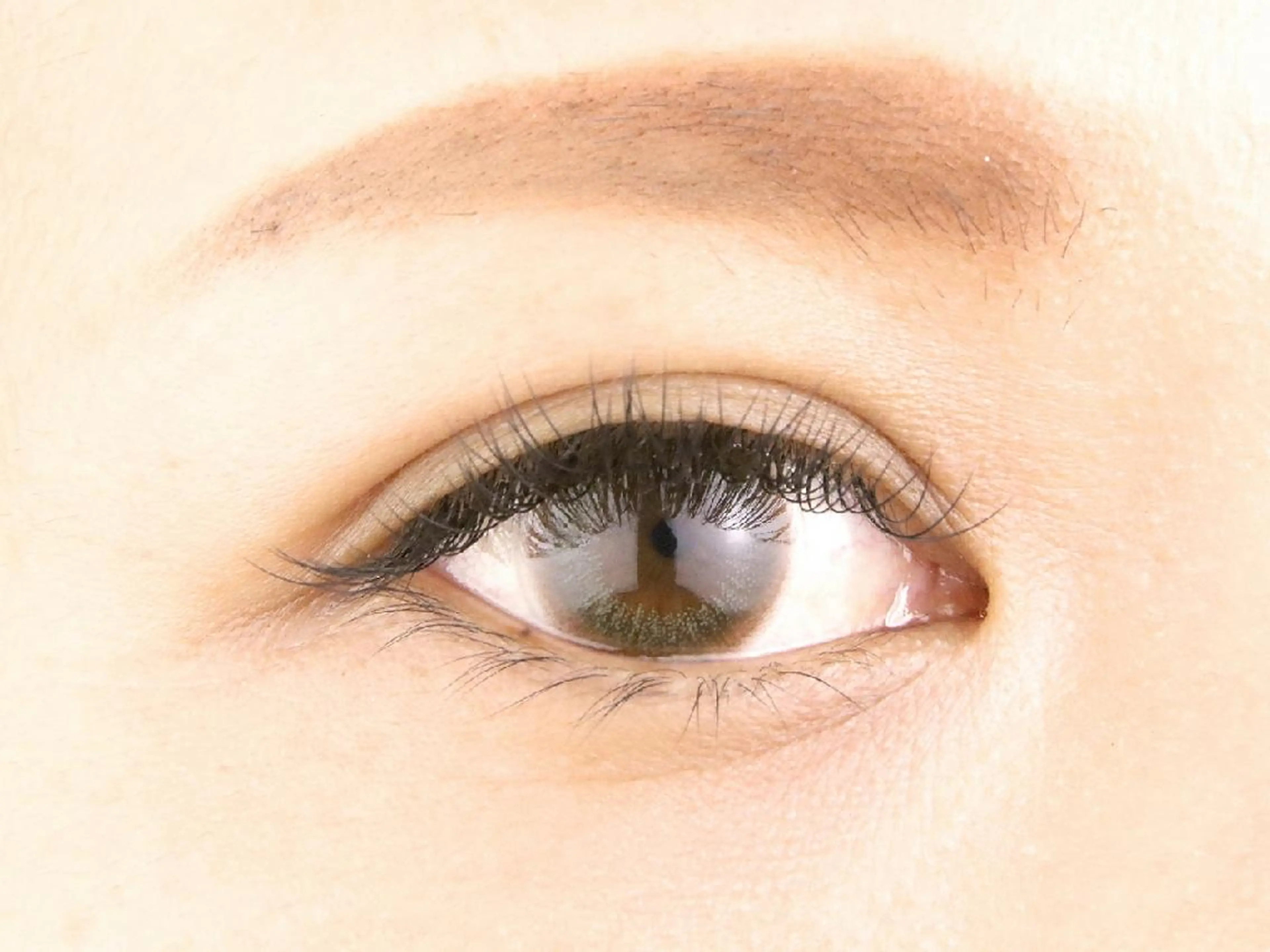 シングルラッシュ 上付け放題(オフ込)の写真