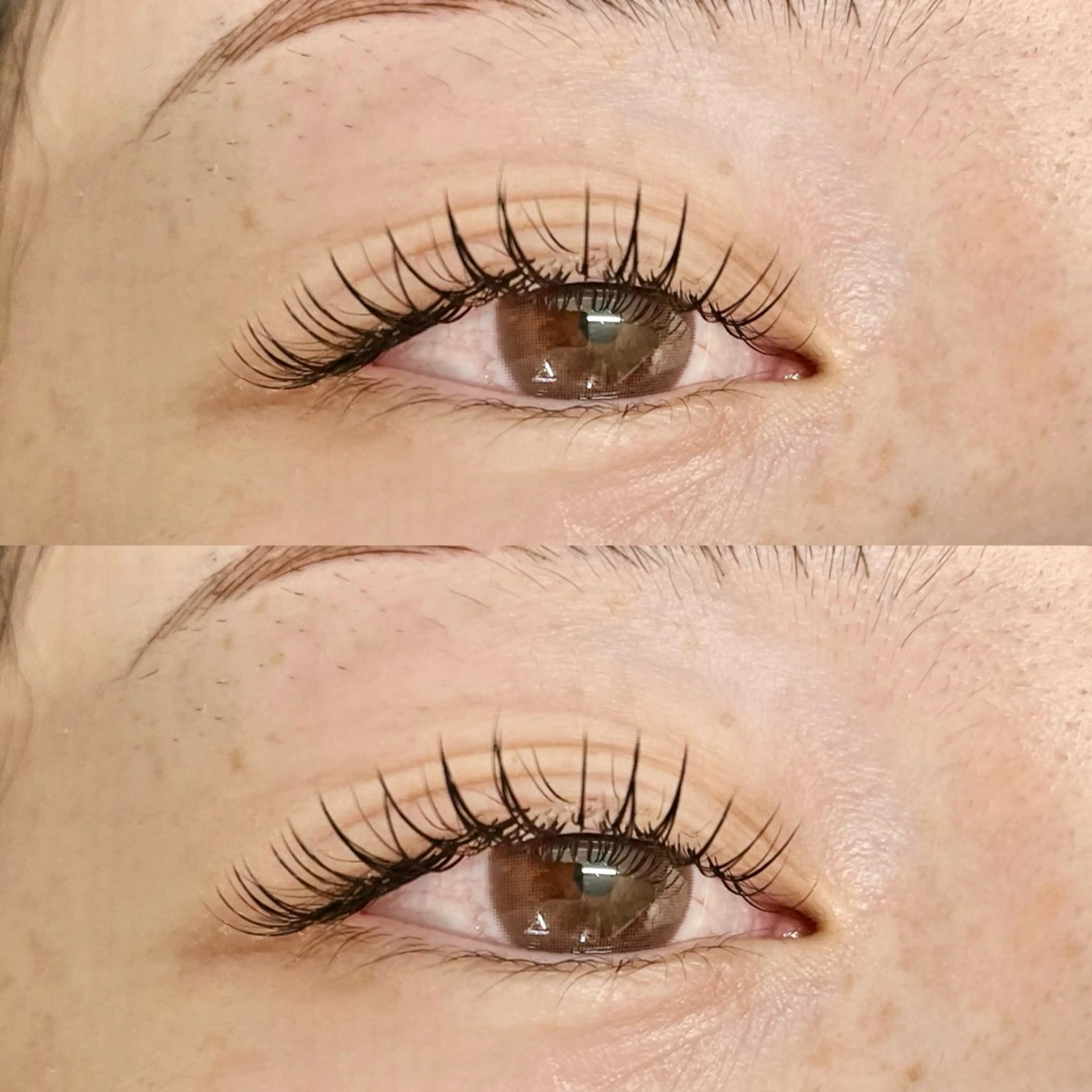 ꒰ シングルラッシュ ꒱　120本𓂃 𓈒𓏸                              〈オフあり〉の写真