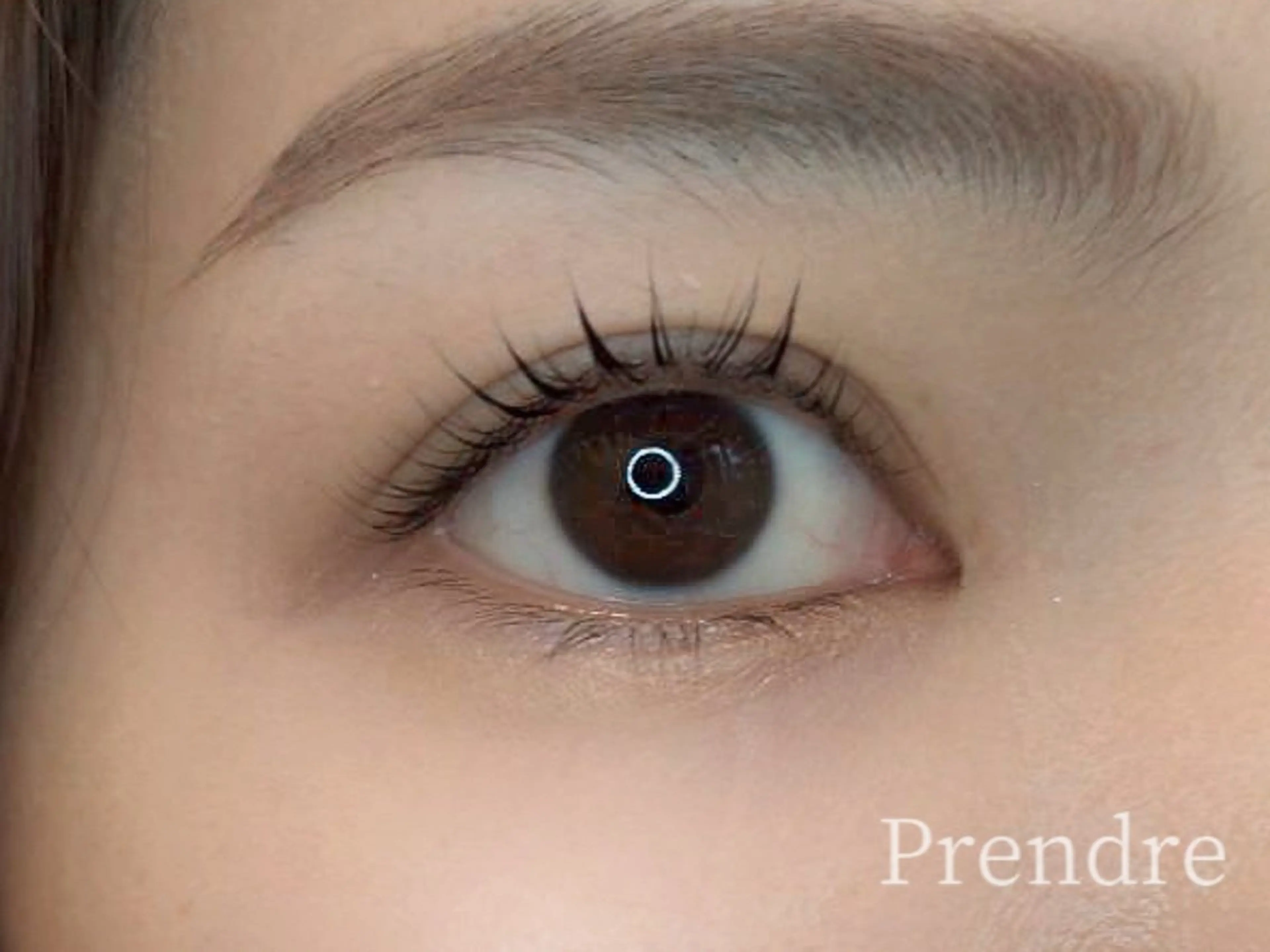 マツエク・マツパ まつげパーマ 一重×まつ毛パーマ プランドール スタッフのマツエク・マツパデザイン