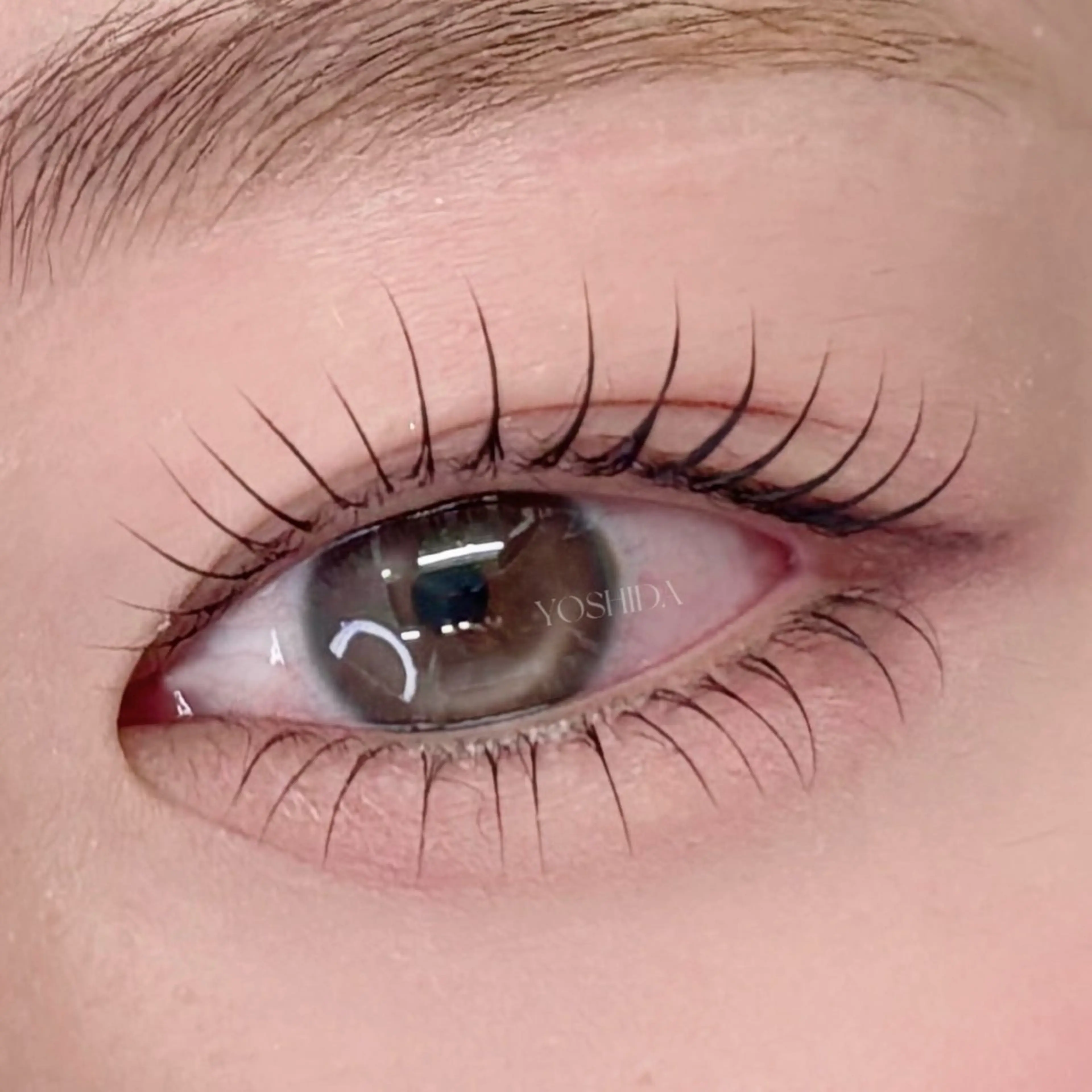 【minimo限定🌈】24歳以下ラッシュリフト(まつ毛パーマ)🫧アイシャンプー＋コーティング付💫の写真