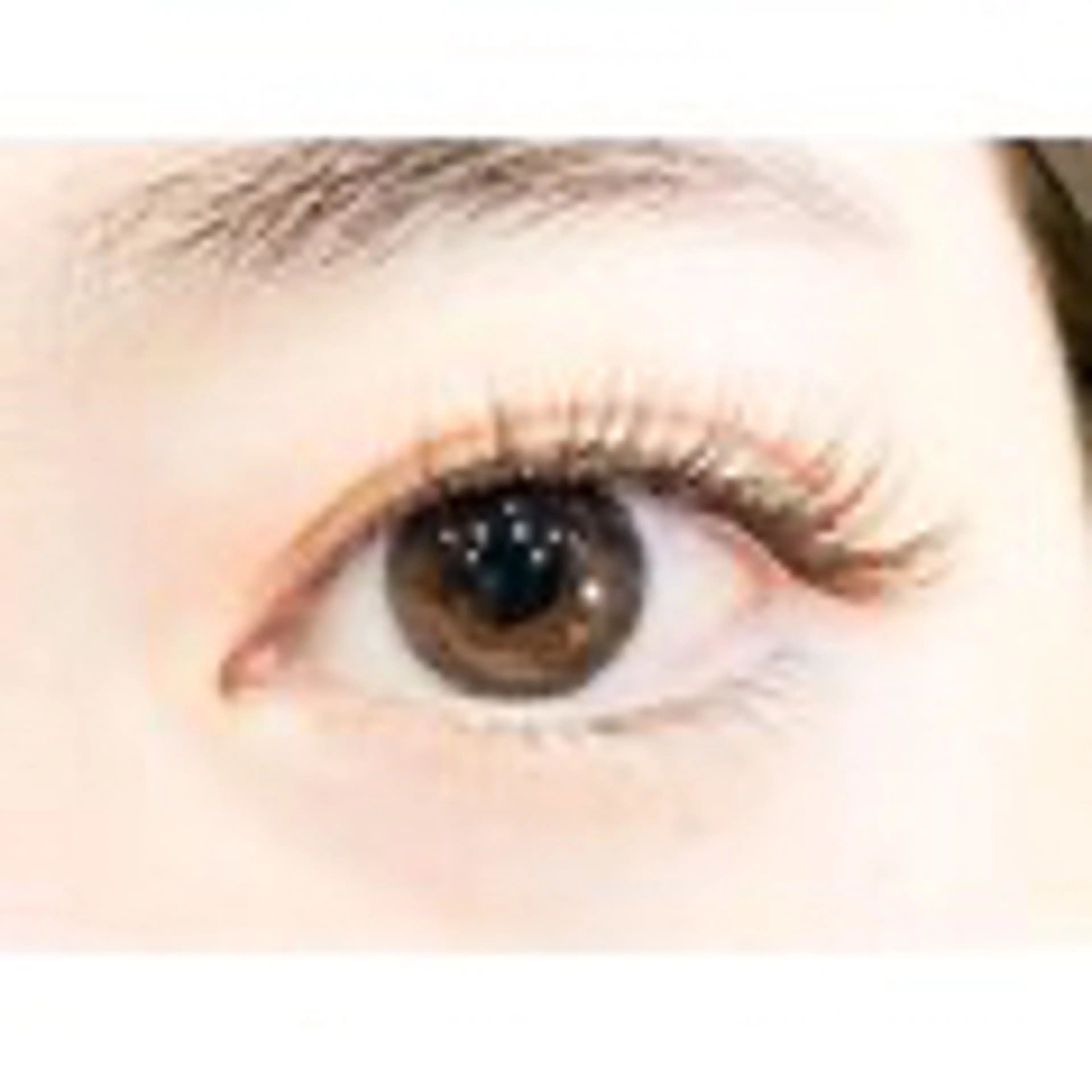 フラットマットラッシュ100本の写真