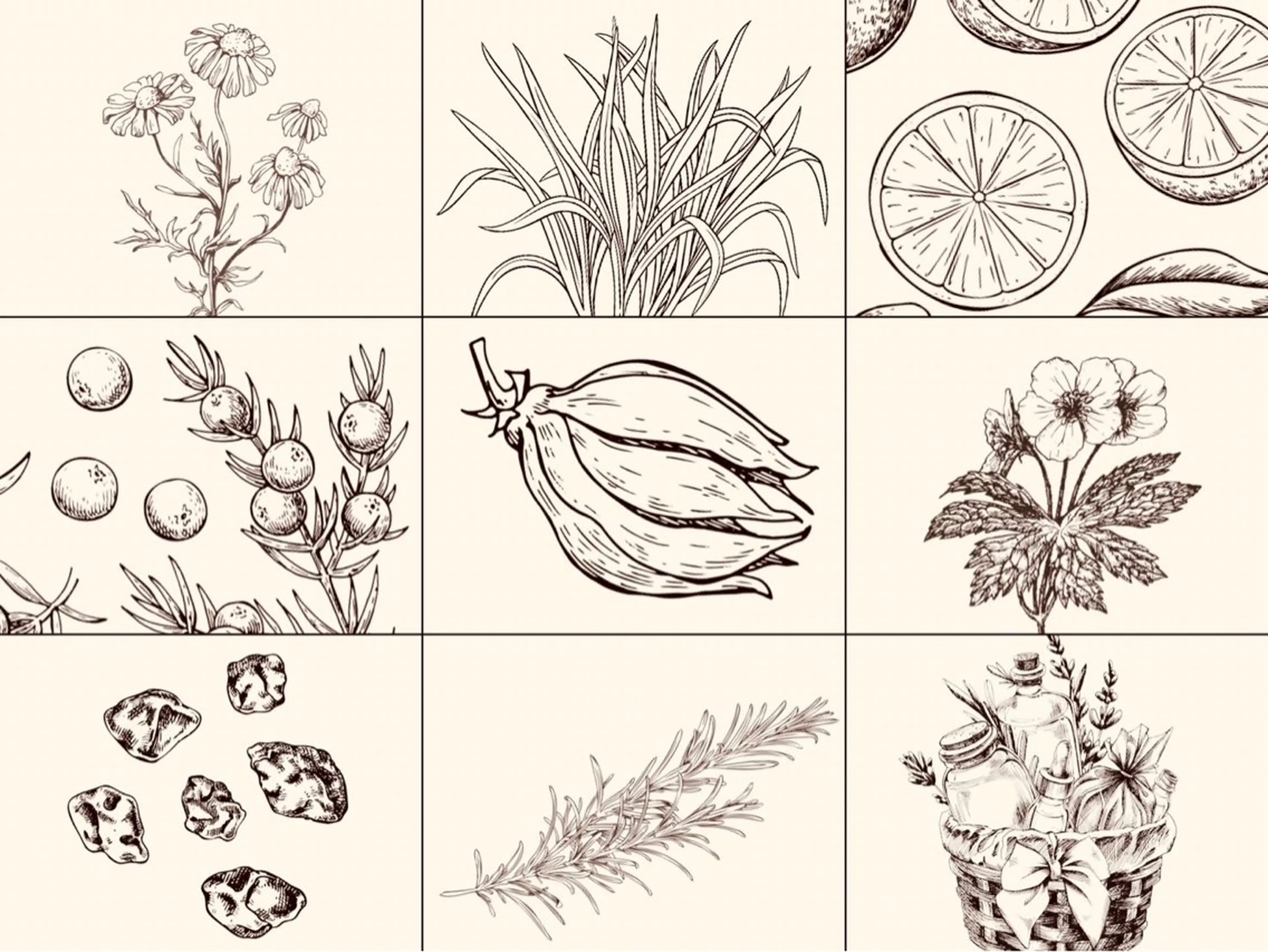 近藤 由美のエステ・リラクイメージ