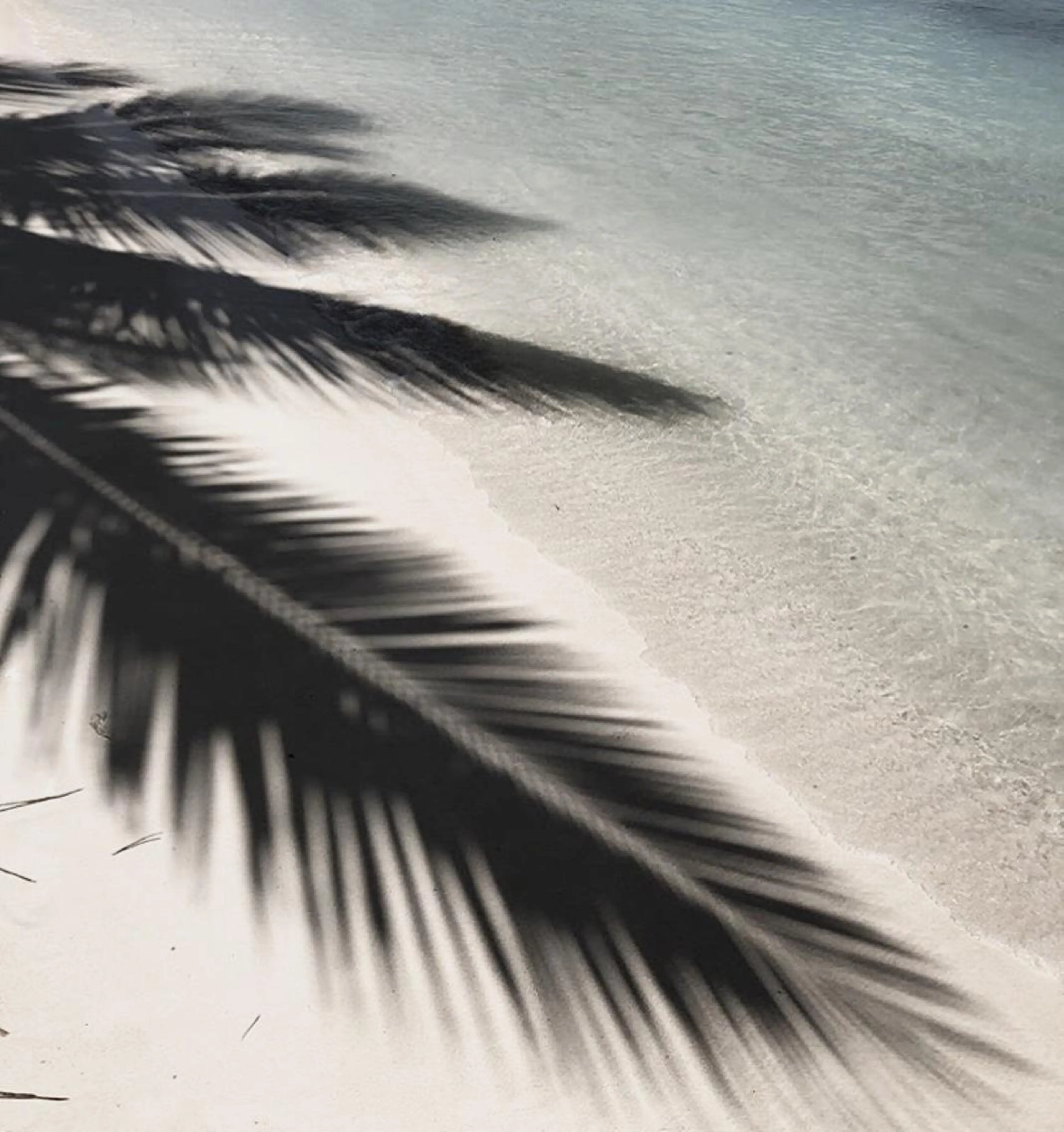 𝐘𝐎𝐒𝐇𝐈 𝐌𝐈🌞🏝のマツエク・マツパデザイン