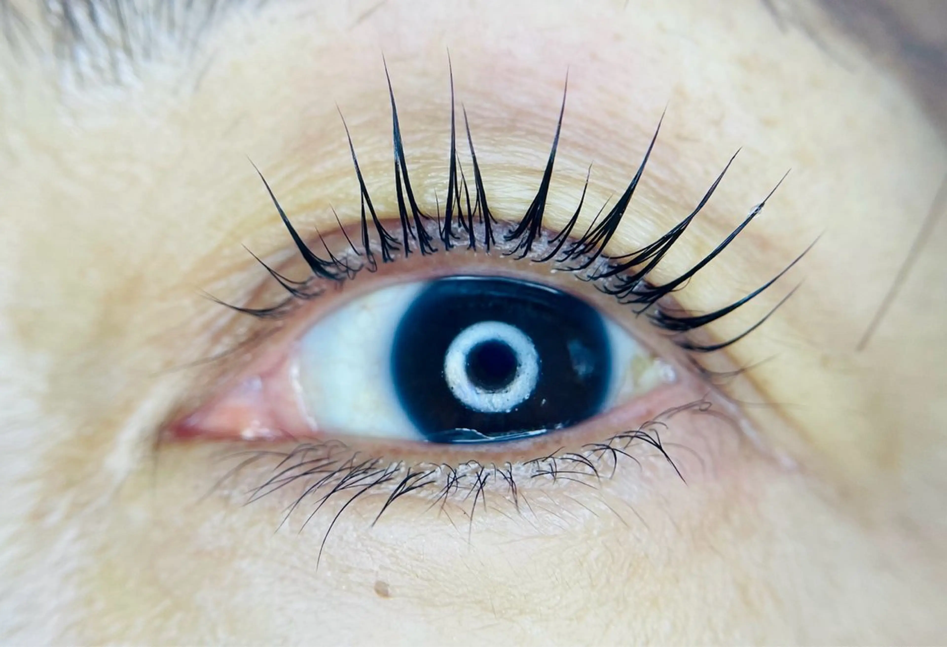 マツエク・マツパ L🎀リアン サロンのマツエク・マツパデザイン