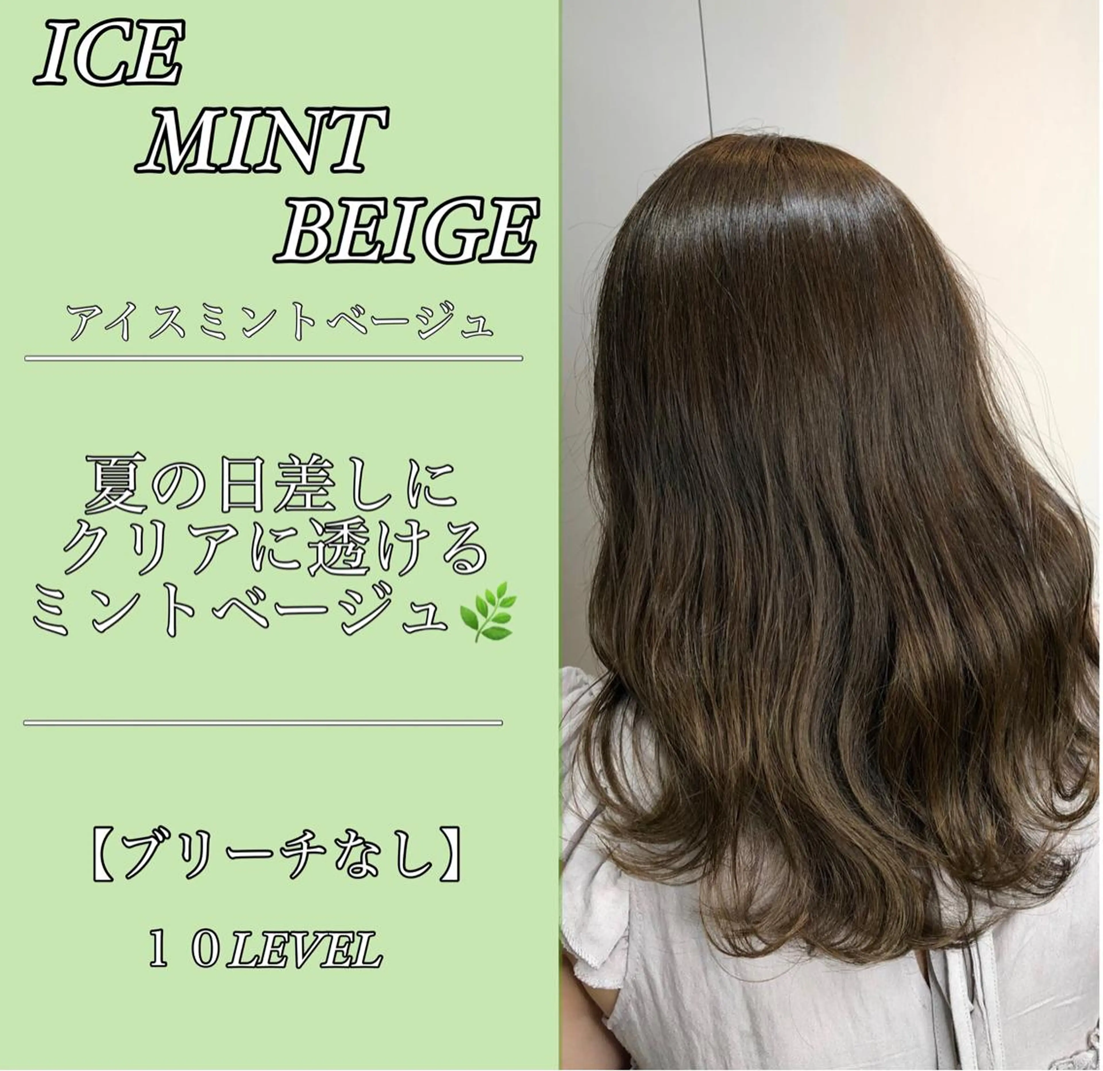 ミディアム カラー ベージュカラー イルミナカラー ミント ミントベージュ 髪質改善 カット ヘアカラー トリートメント ✨似合うのその先へ✨ 田中延和のヘアスタイル