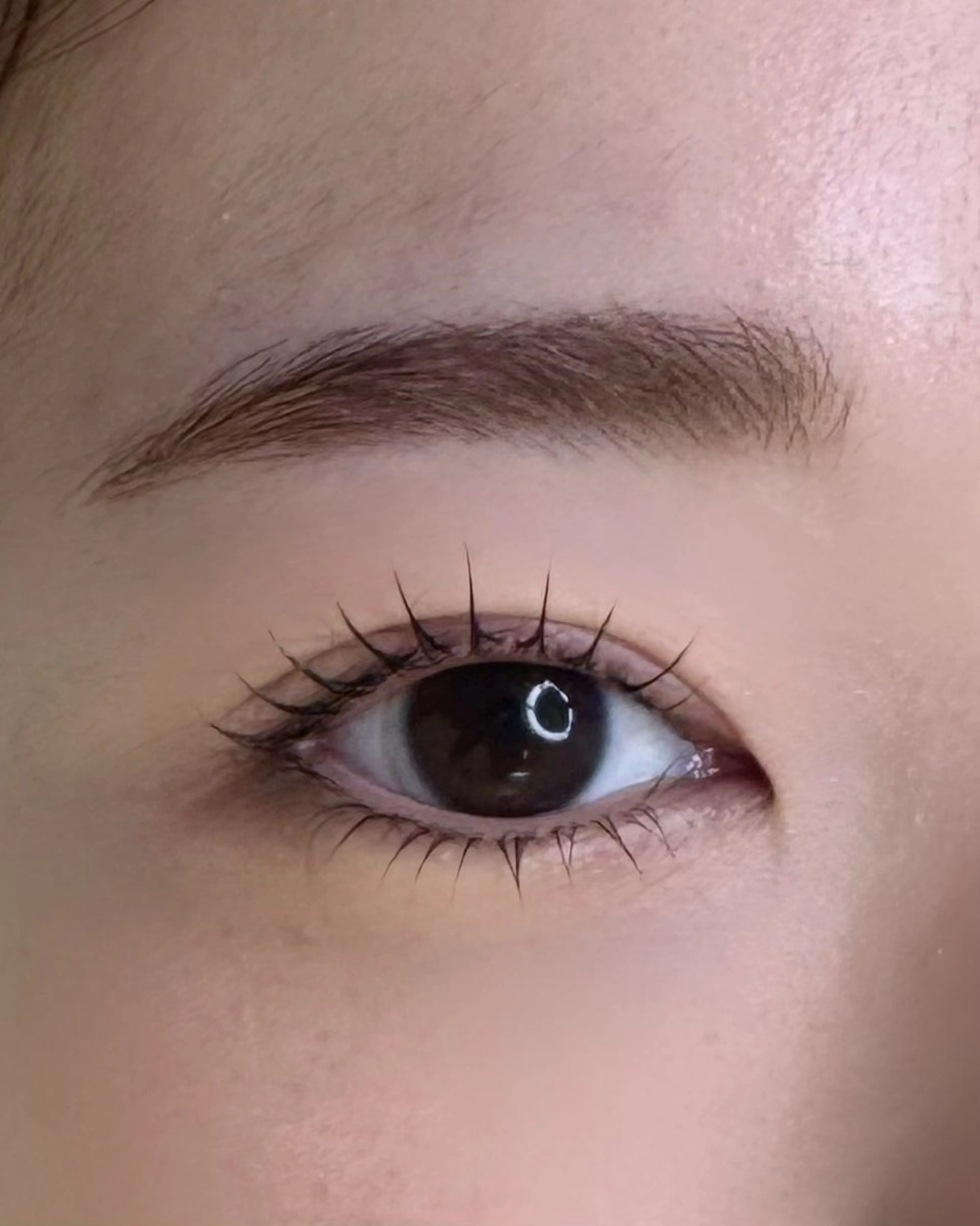 マツエク・マツパ マツパ MIZUKI🎀渋谷 束感まつげ/パリエクのマツエク・マツパデザイン