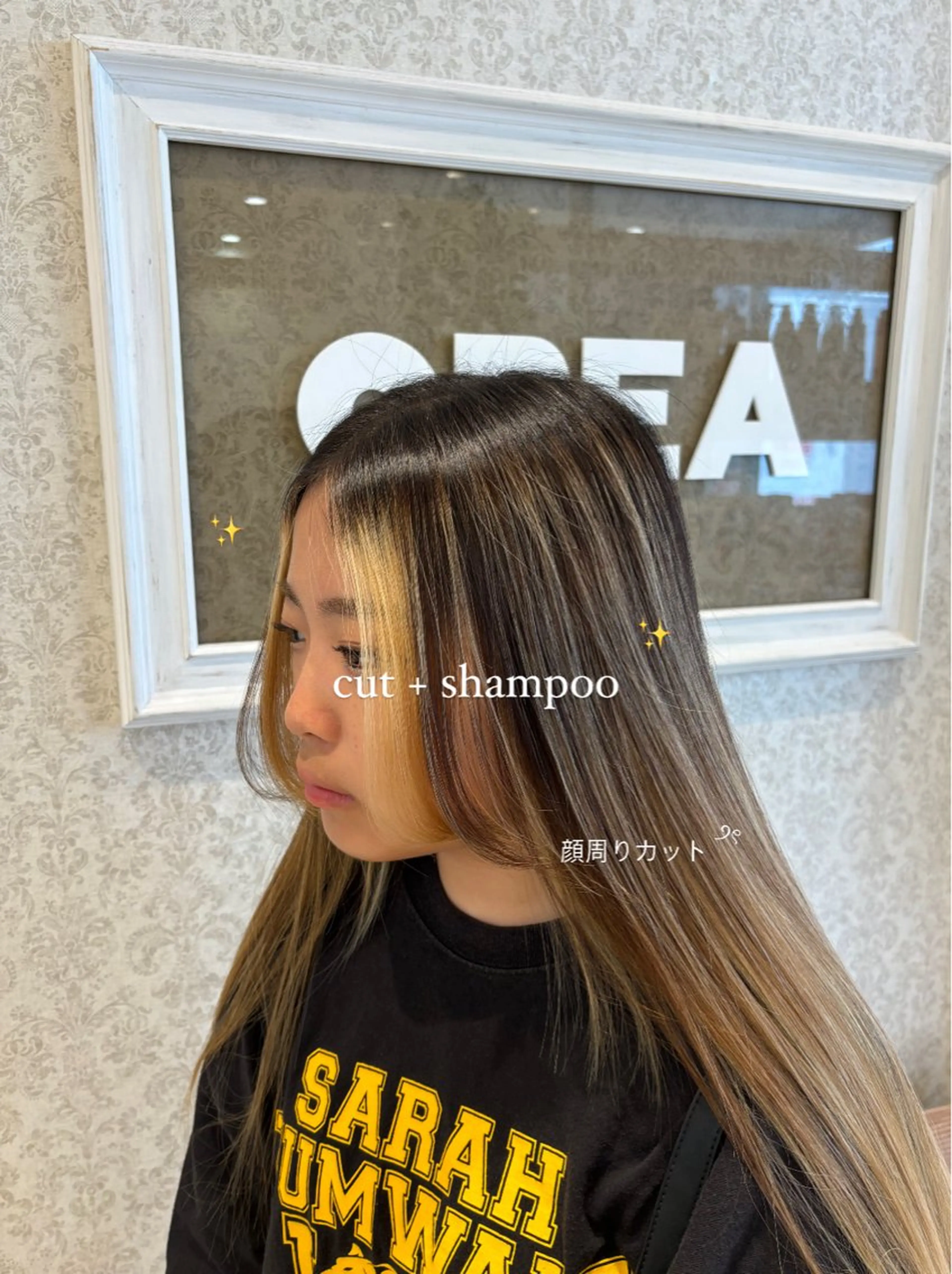 ロング カット ブリーチなしカラー/ 暖色カラー/艶カラーのヘアスタイル