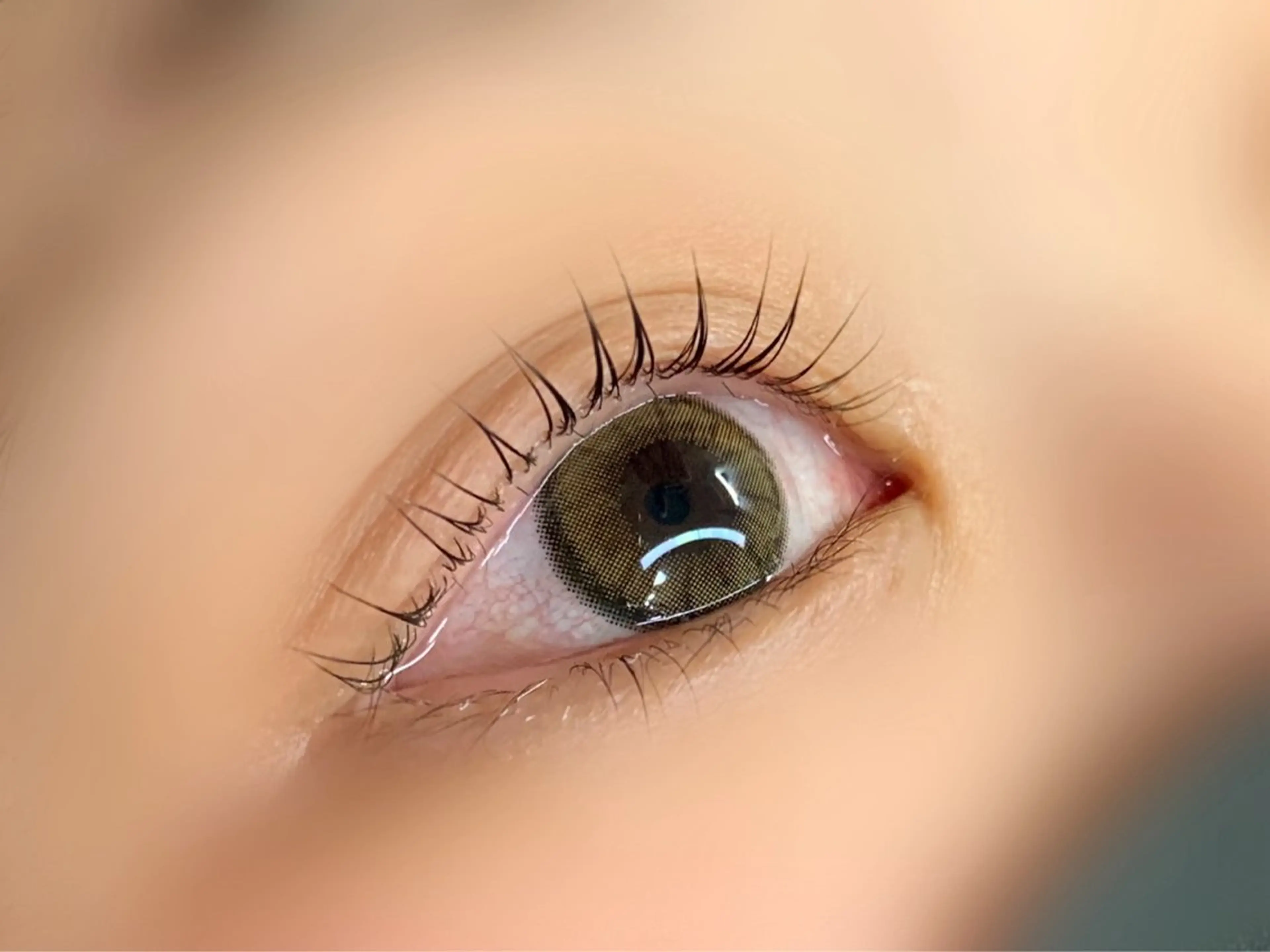 パリジェンヌラッシュリフトの写真