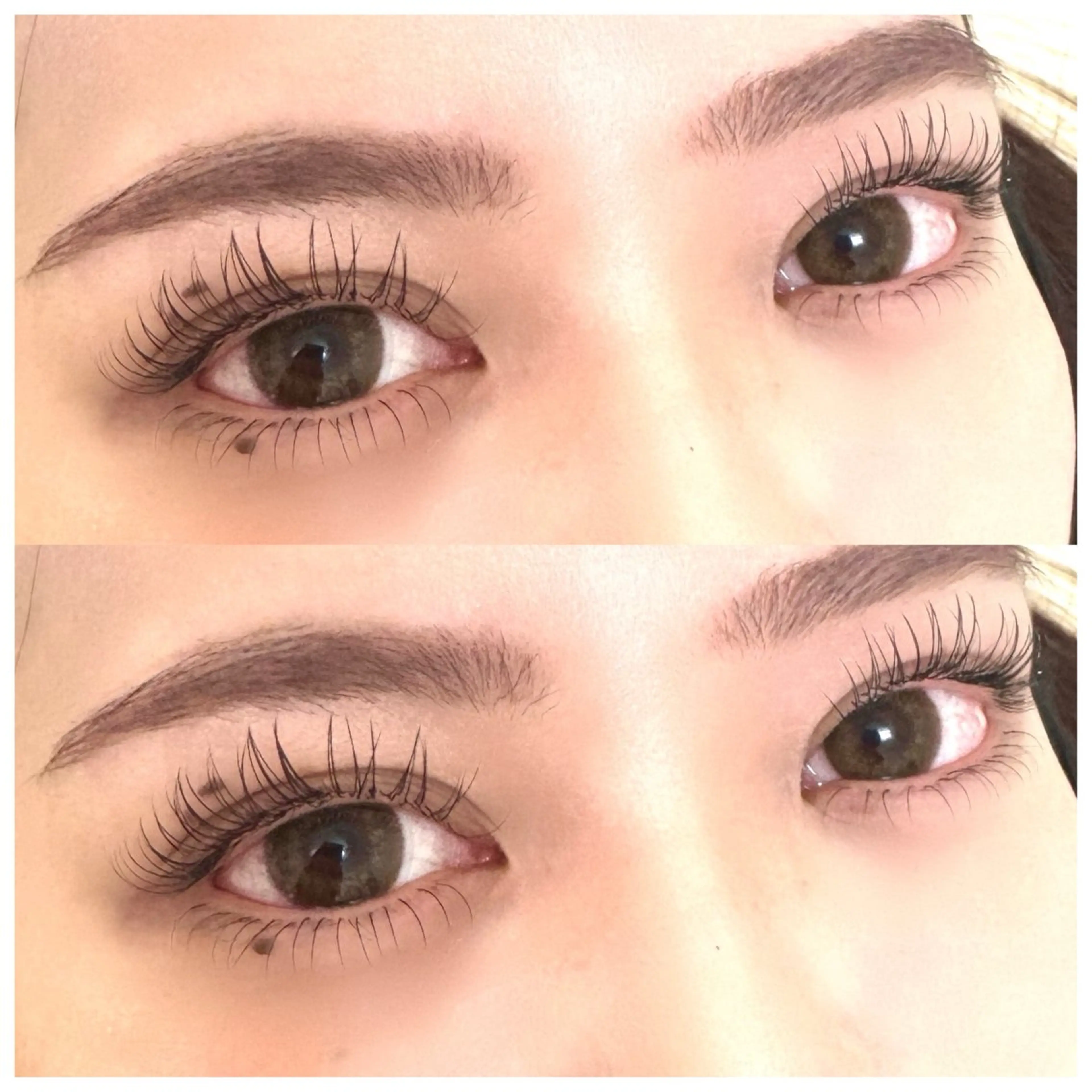 ご新規様限定🦋フラットラッシュ 120本🦋の写真