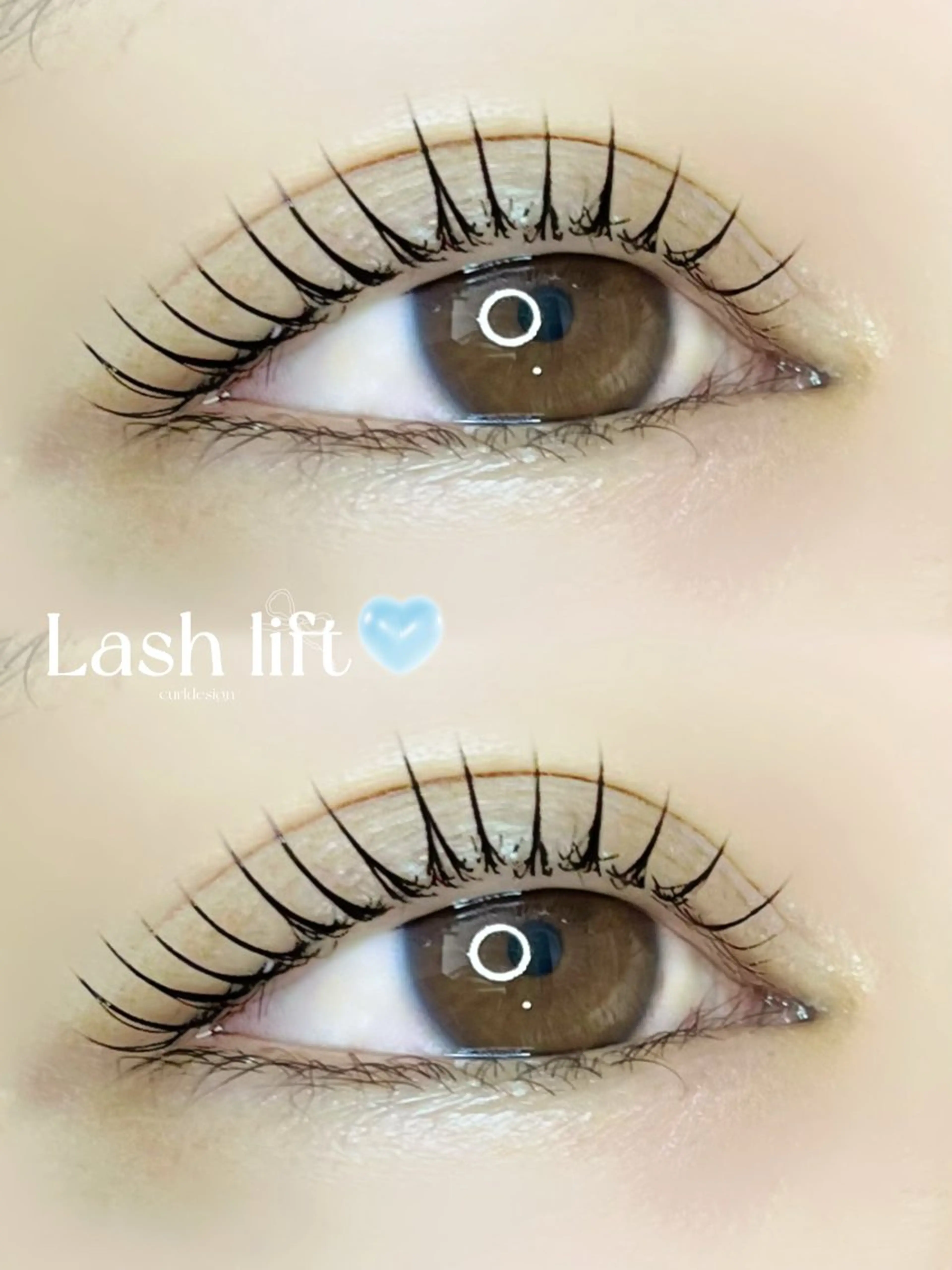 【初回】ラッシュリフト  ￥4900の写真