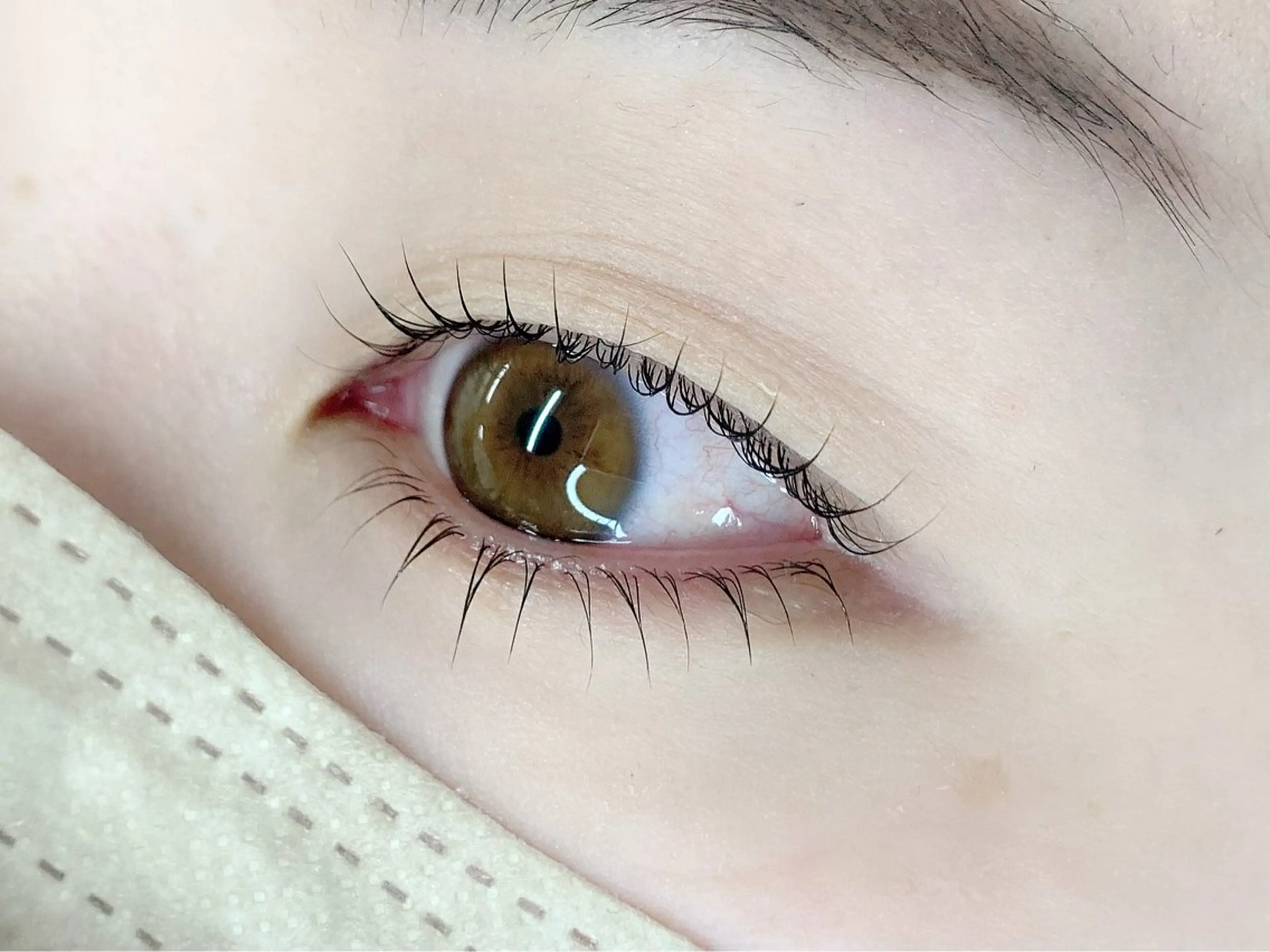 ラッシュリフト/下まつ毛パーマの写真