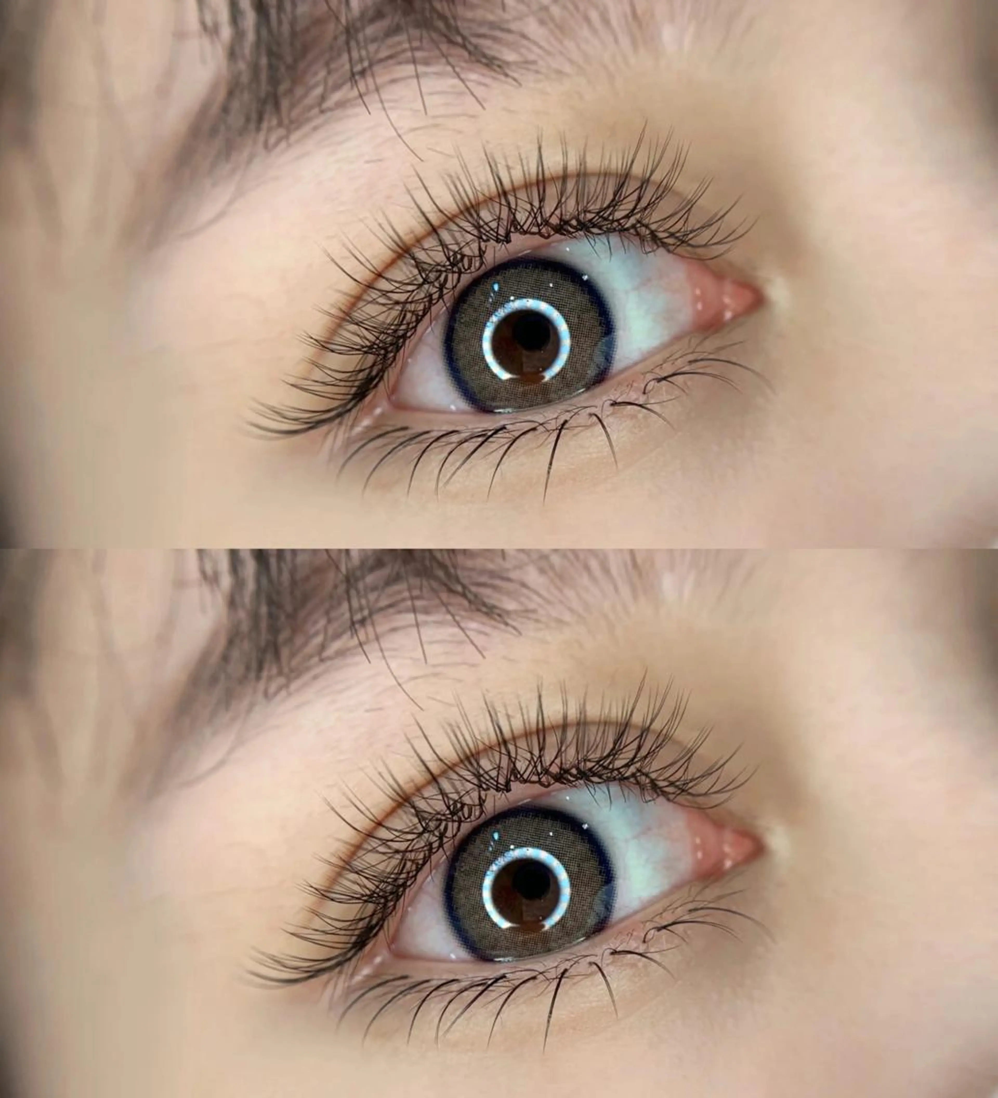 🦋YYボリュームラッシュ🦋100束（ボリューム400本相当）の写真