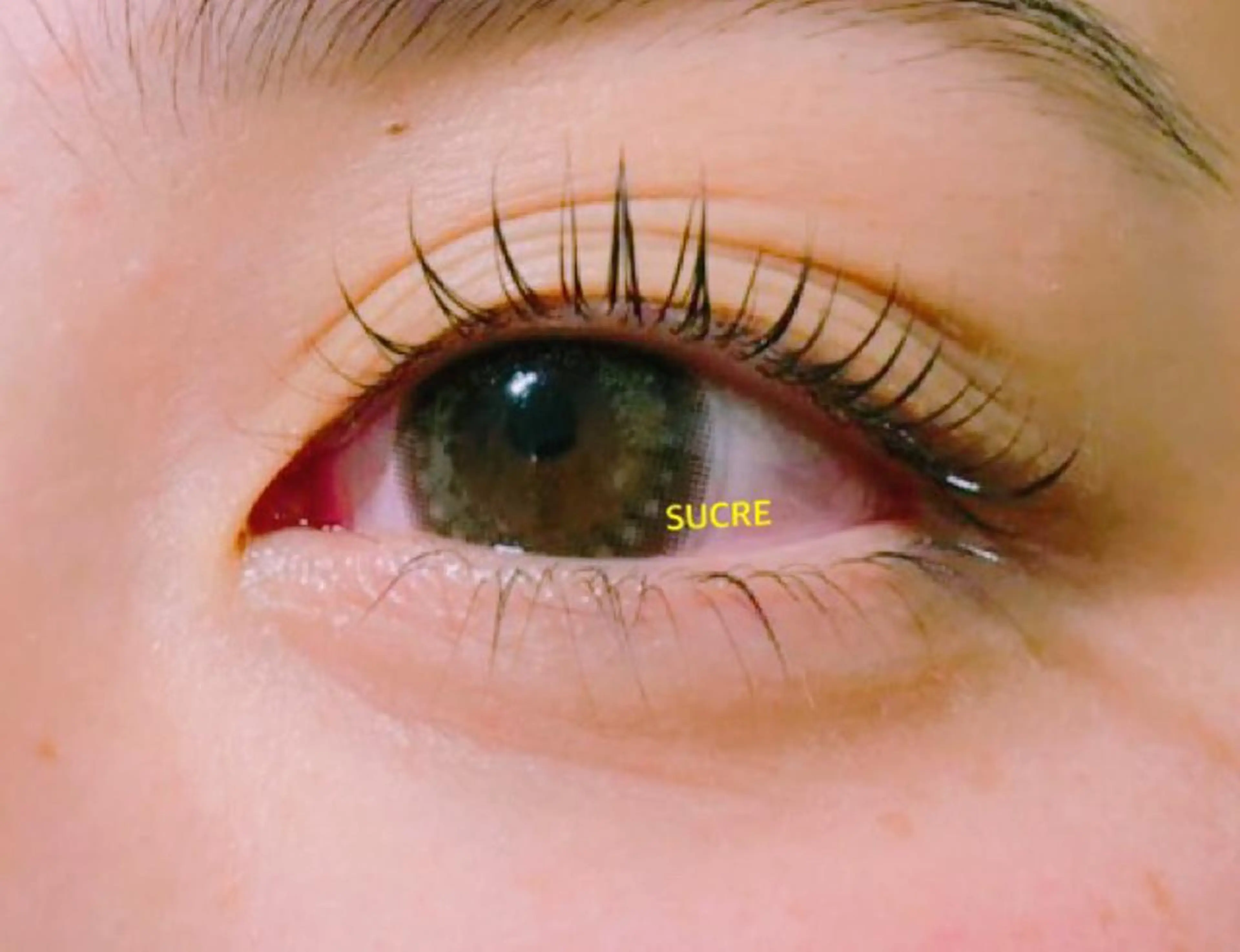 マツエク・マツパ EyelashSalon Liz.&所属・Liz.&現ino 平田のマツエク・マツパデザイン