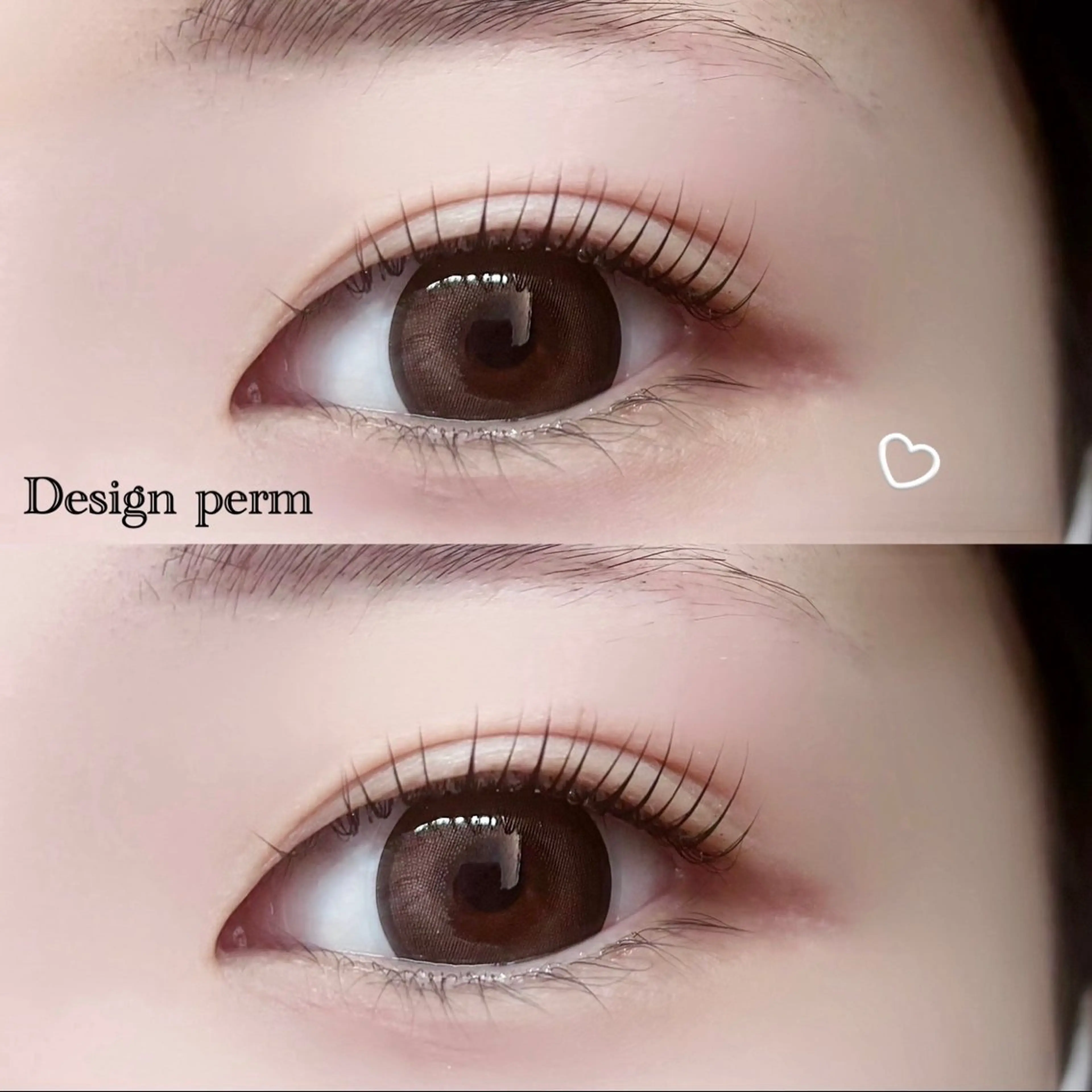 マツパアイブロウの写真