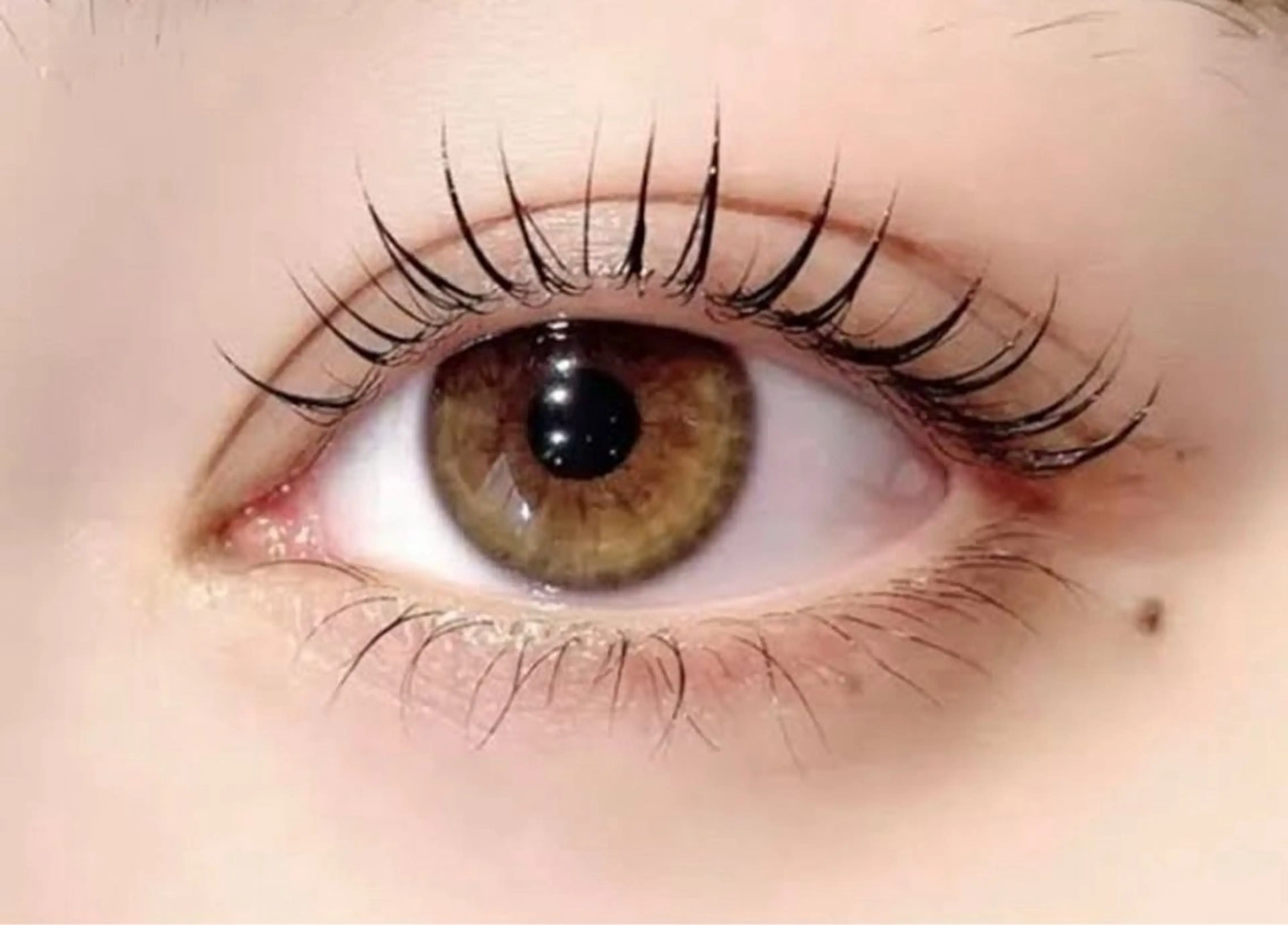 マツエク・マツパ DL•BEAUTY NATSUME 💌の眉毛・アイブロウイメージ