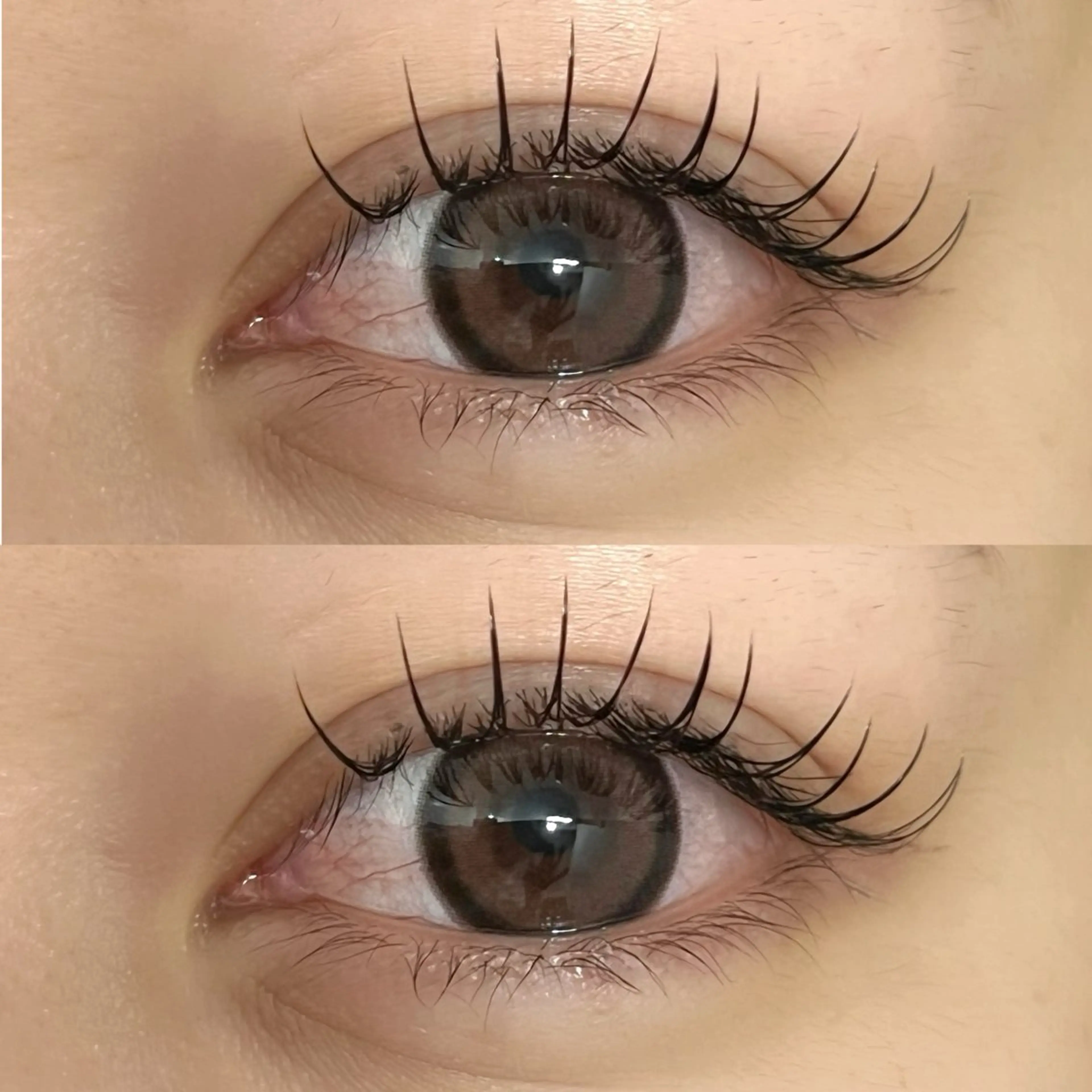 🫧 フラットラッシュ 140本 / 自店オフ込み 🫧 カラー変更可◎の写真