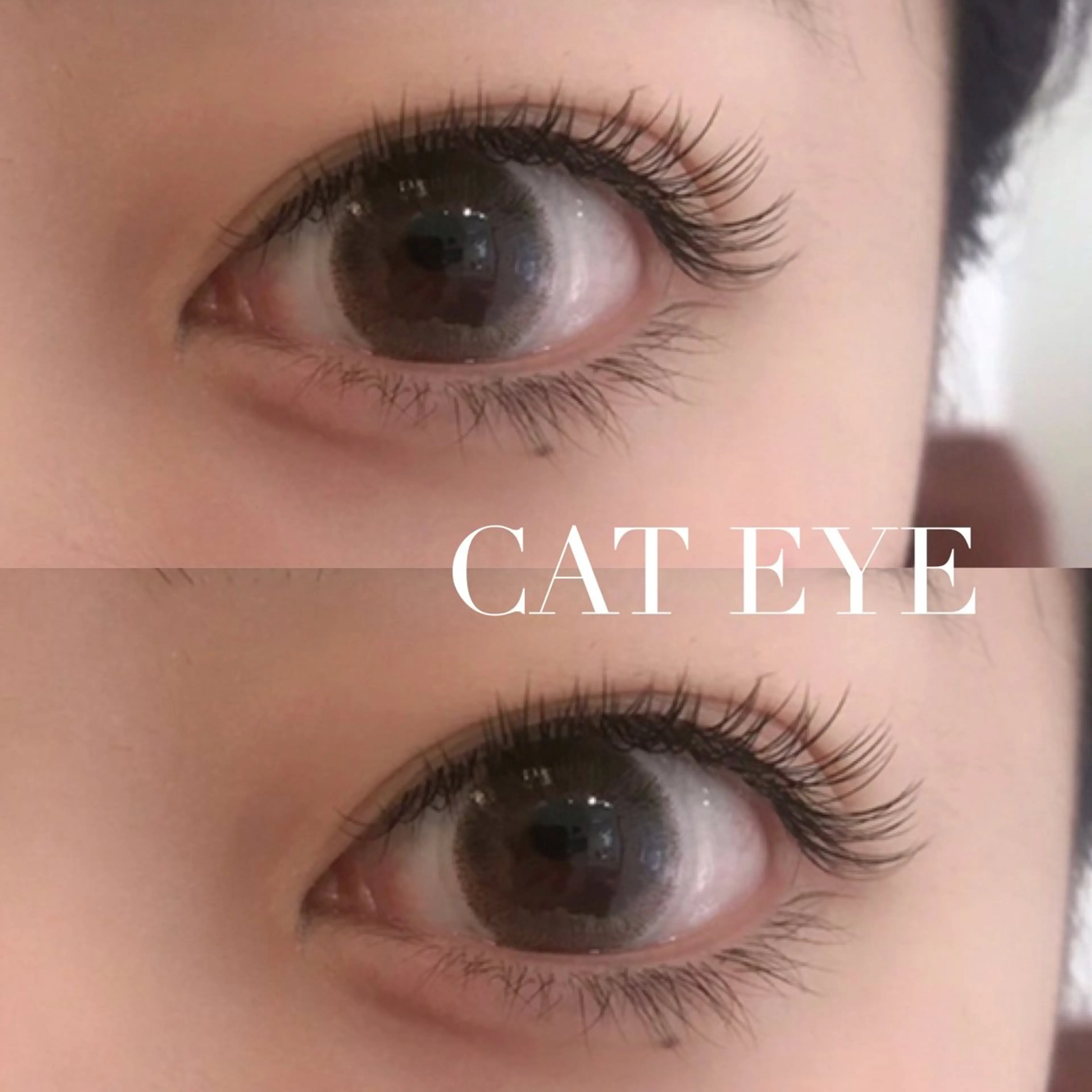 マツエク・マツパ Cカール マツエク メイクアップサロン 【Aquarius】のマツエク・マツパデザイン