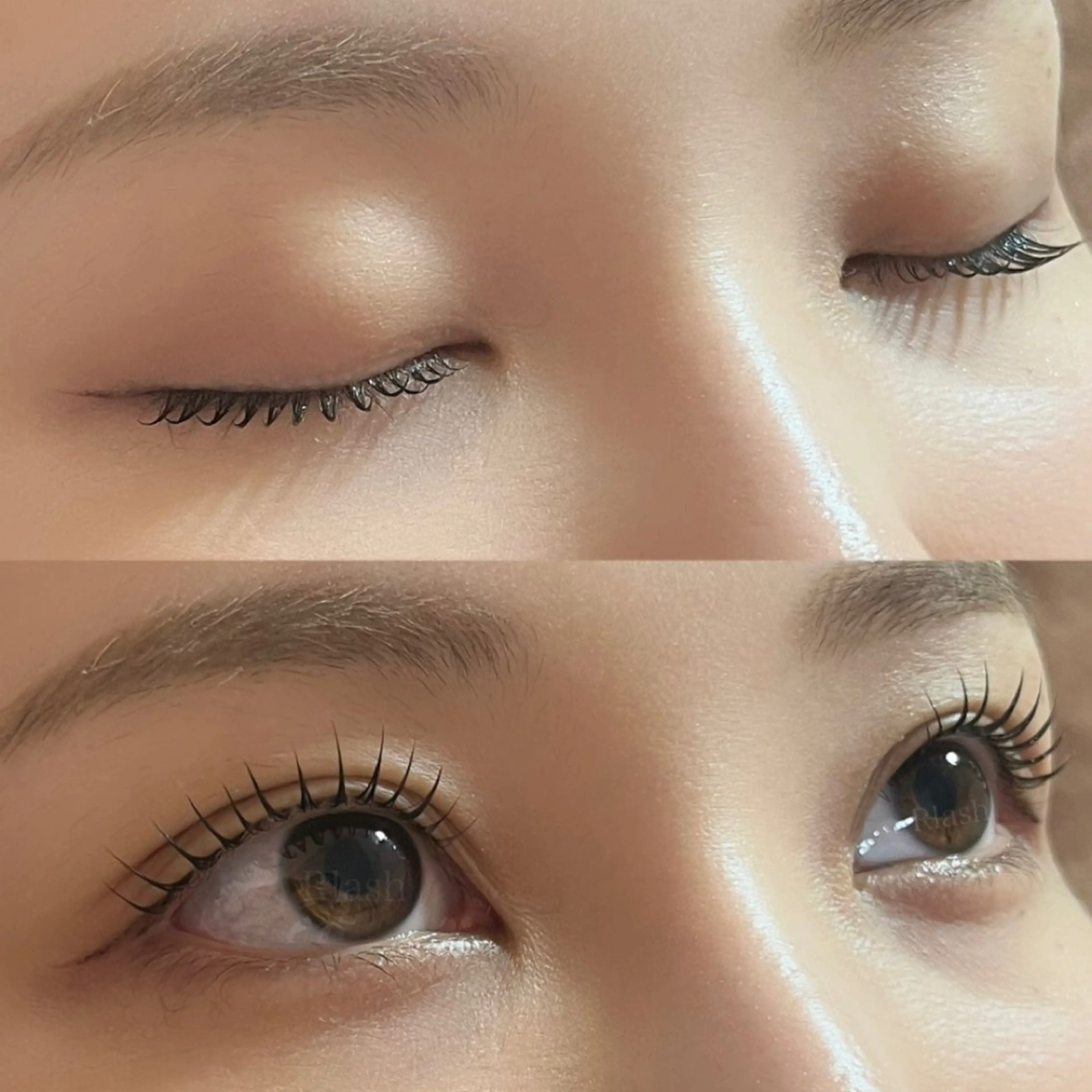 【平日21時、休日19時以降予約限定🌃】パリジェンヌラッシュリフトorまつげパーマ 9160円の写真