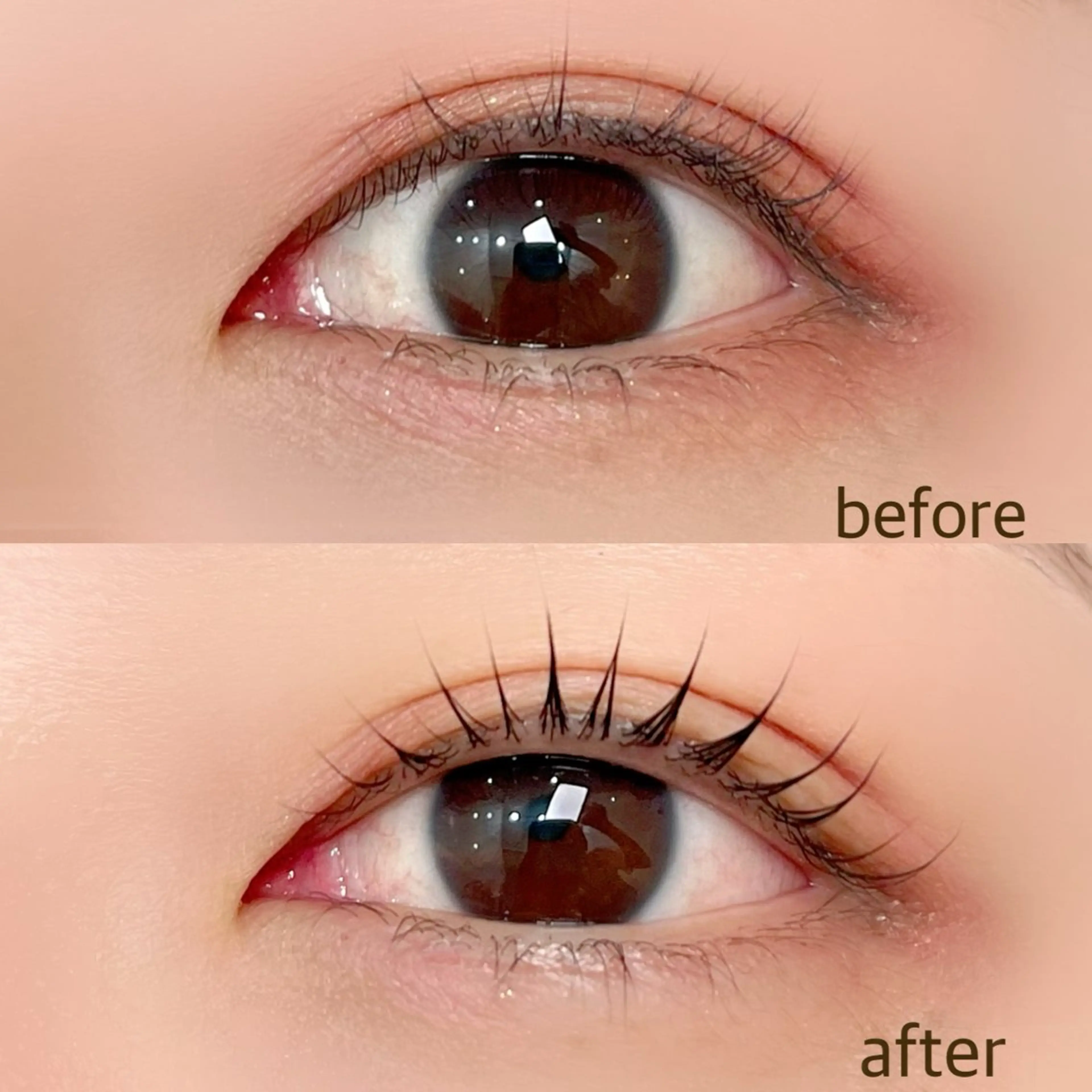 マツエク・マツパ パリジェンヌラッシュリフト Ramo大宮 wakaba🌈🦋の眉毛・アイブロウイメージ