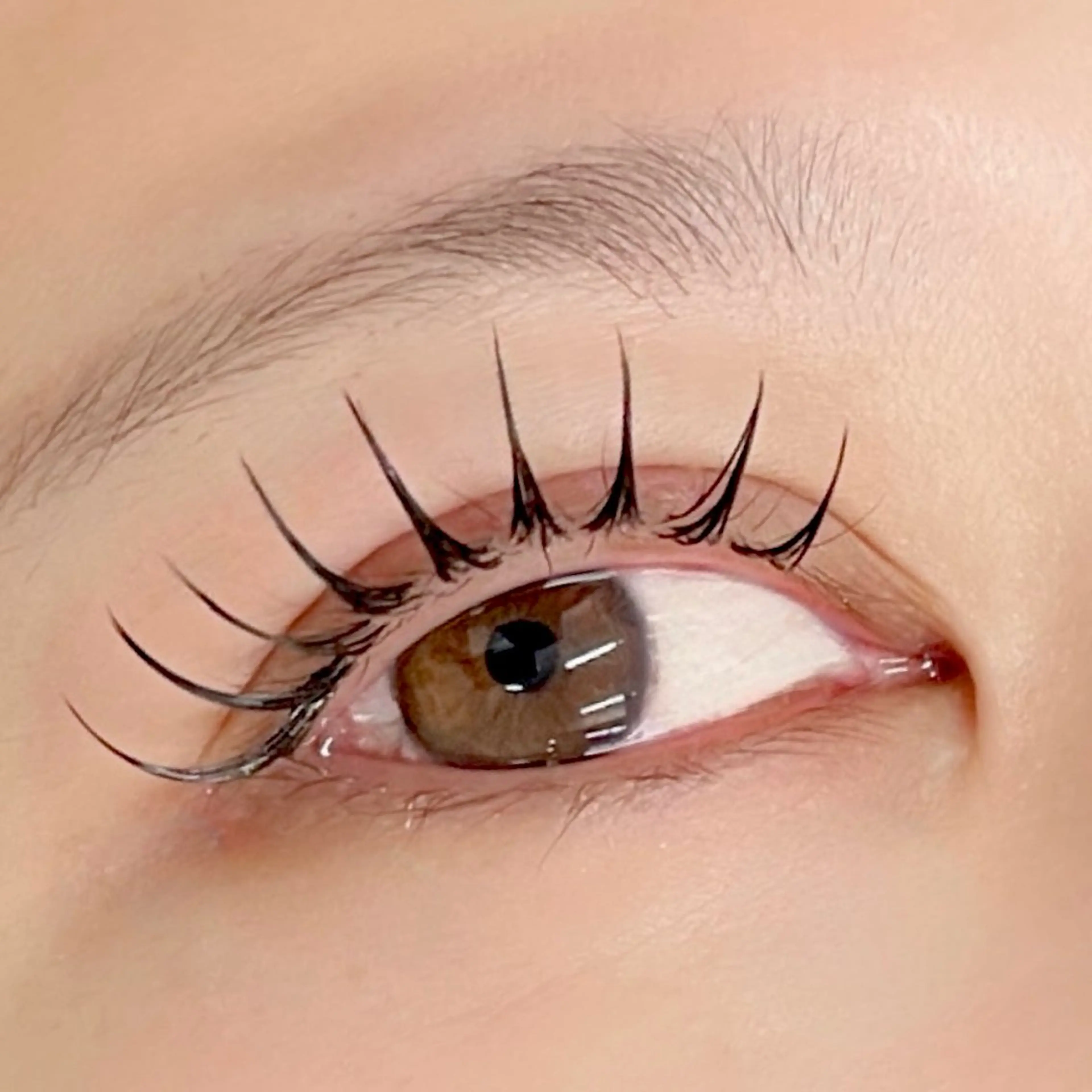 マツエク・マツパ ジュエル.《まつげ》 モデル様募集中のマツエク・マツパデザイン