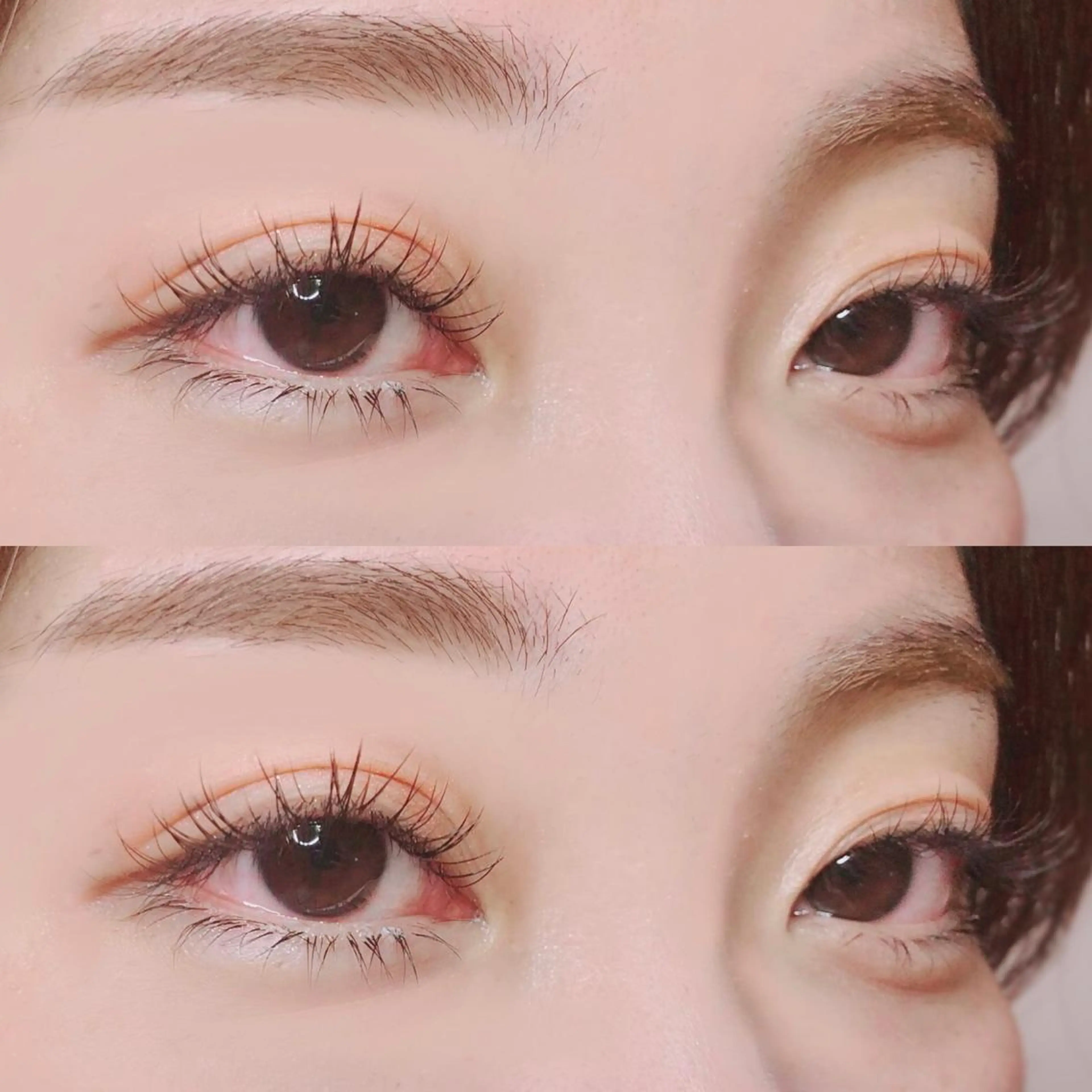 【お得なセット★】眉毛wax脱毛&ﾏﾂｴｸ120本まで🌼の写真