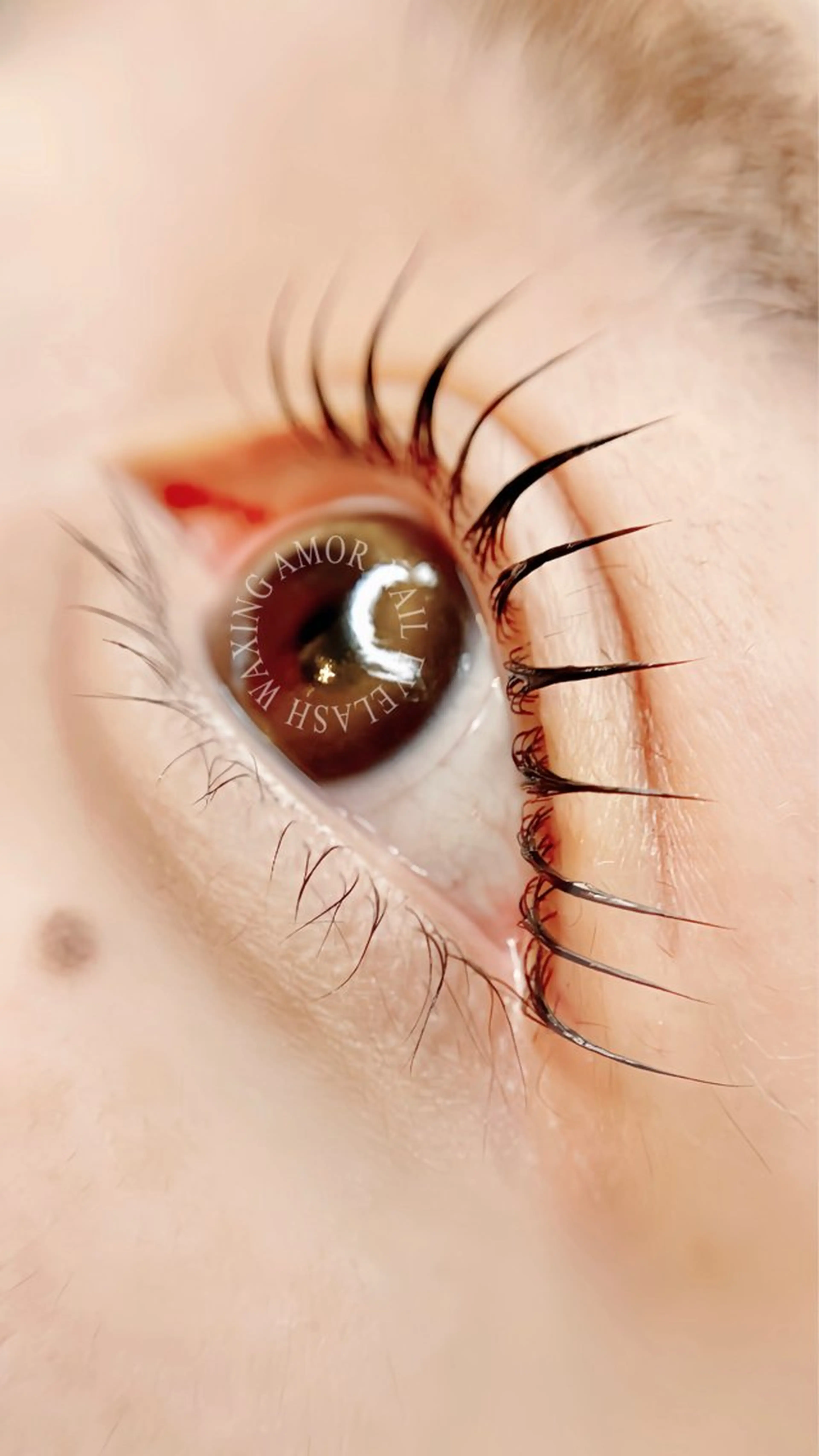 マツエク・マツパ Amor所属・AMOR EYELASHのマツエク・マツパデザイン