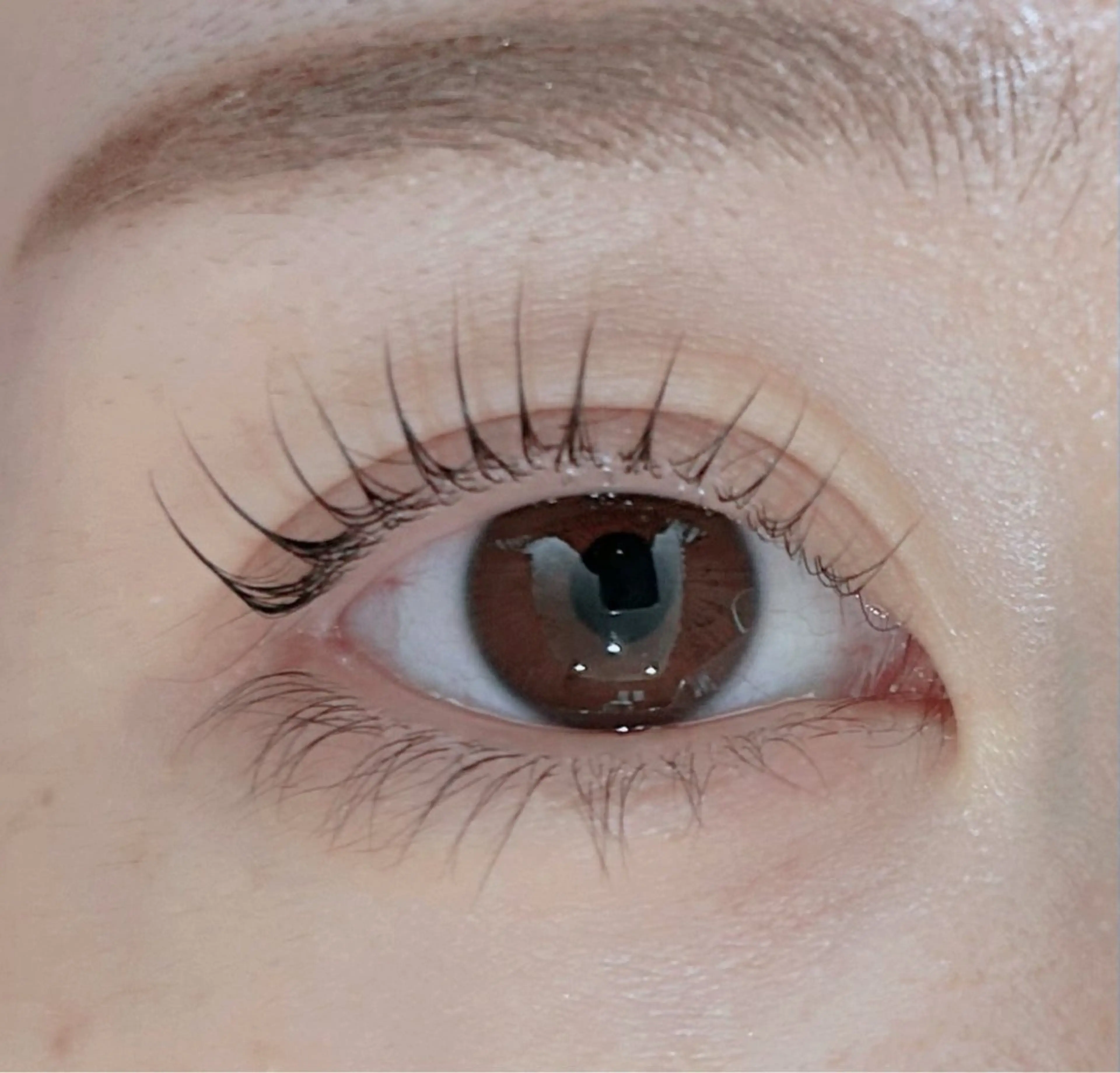 マツエク・マツパ まつげパーマ soposilma 🧸今季OPENのマツエク・マツパデザイン