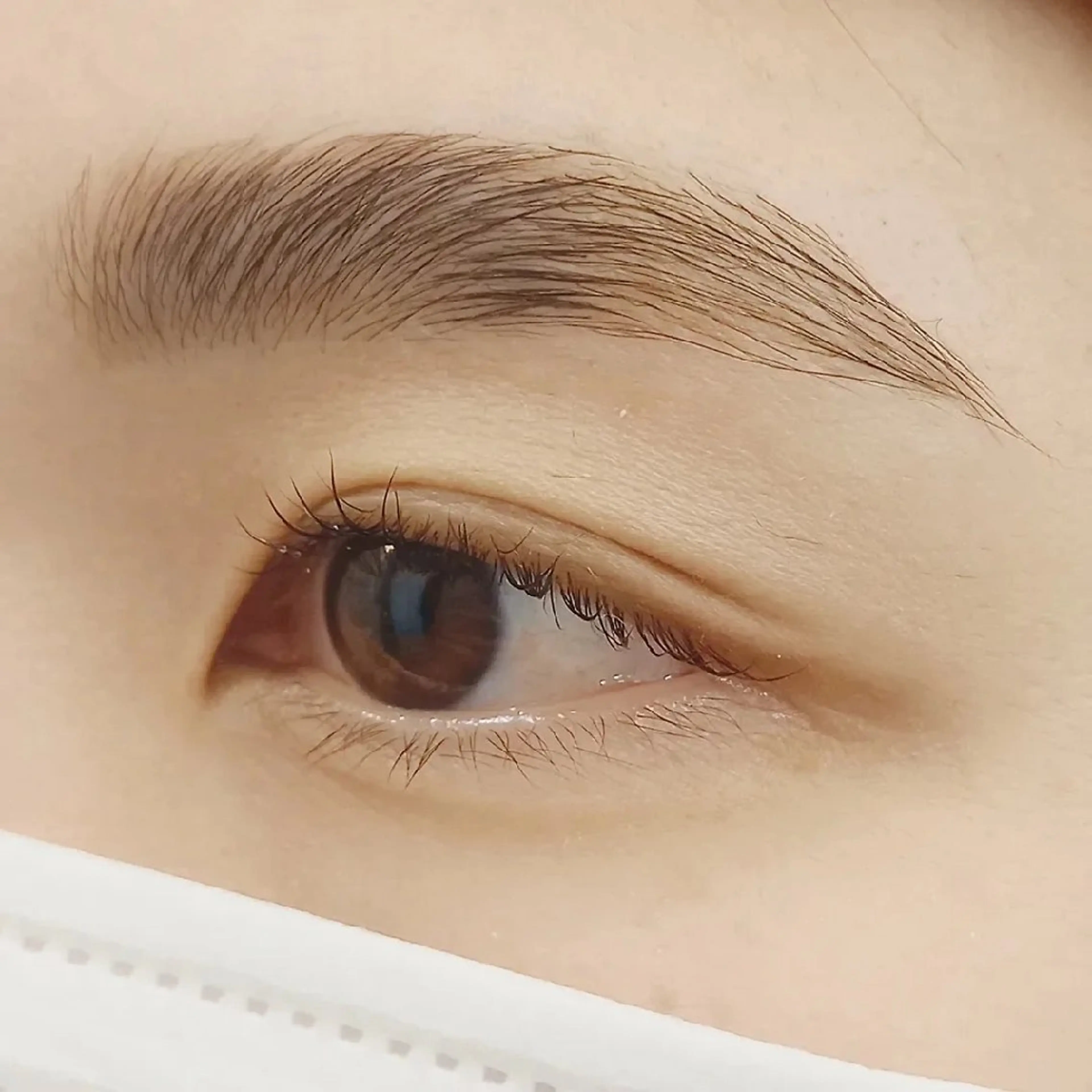 アイブロウ ワックス脱毛 その他(アイブロウ)  MIKU .のマツエク・マツパデザイン