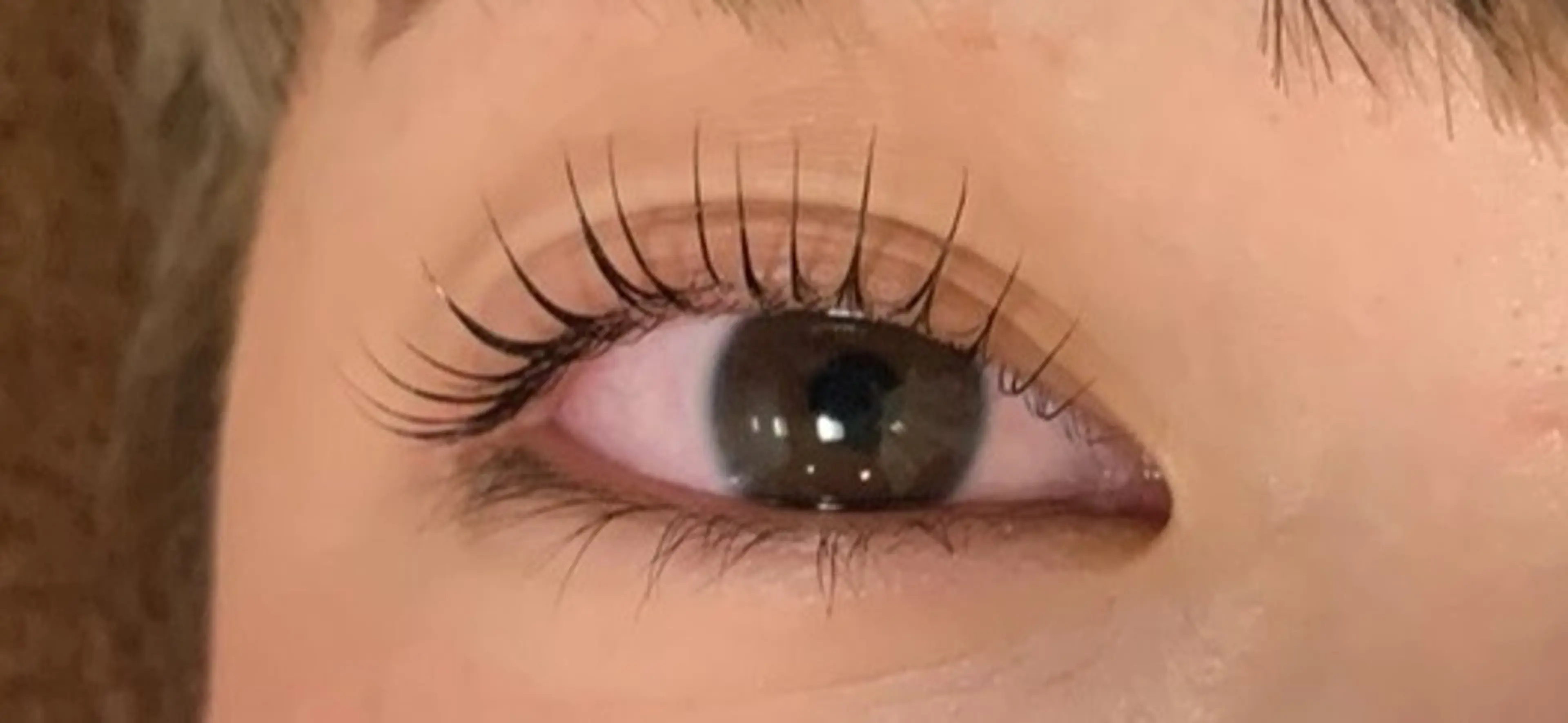 EXTENDまつ毛美容液プレゼント🎅マツエク100本の写真