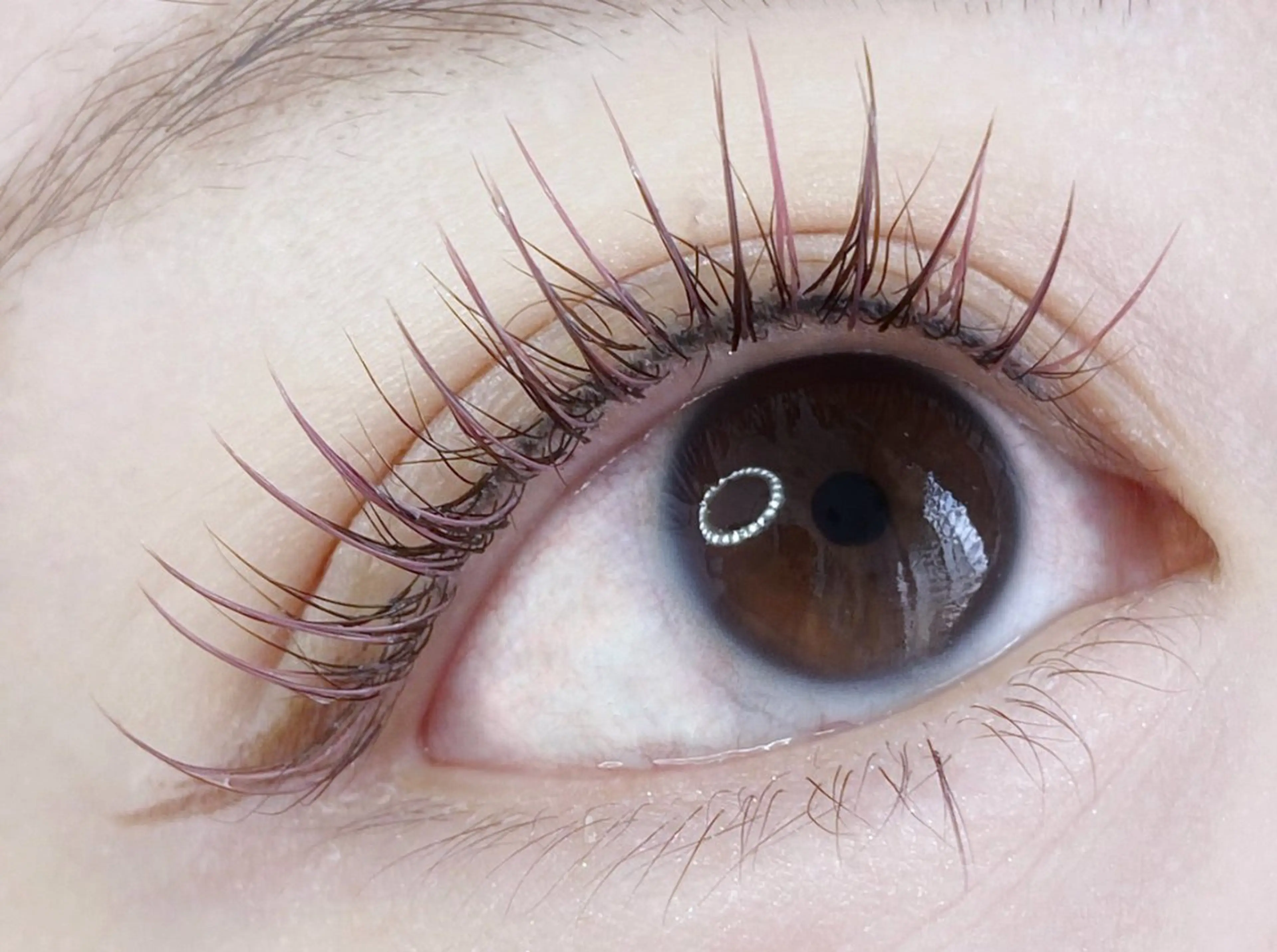 3回目以降のお客様⭐️エクステ100本まで（最高級セーブル※毛質変更可）の写真