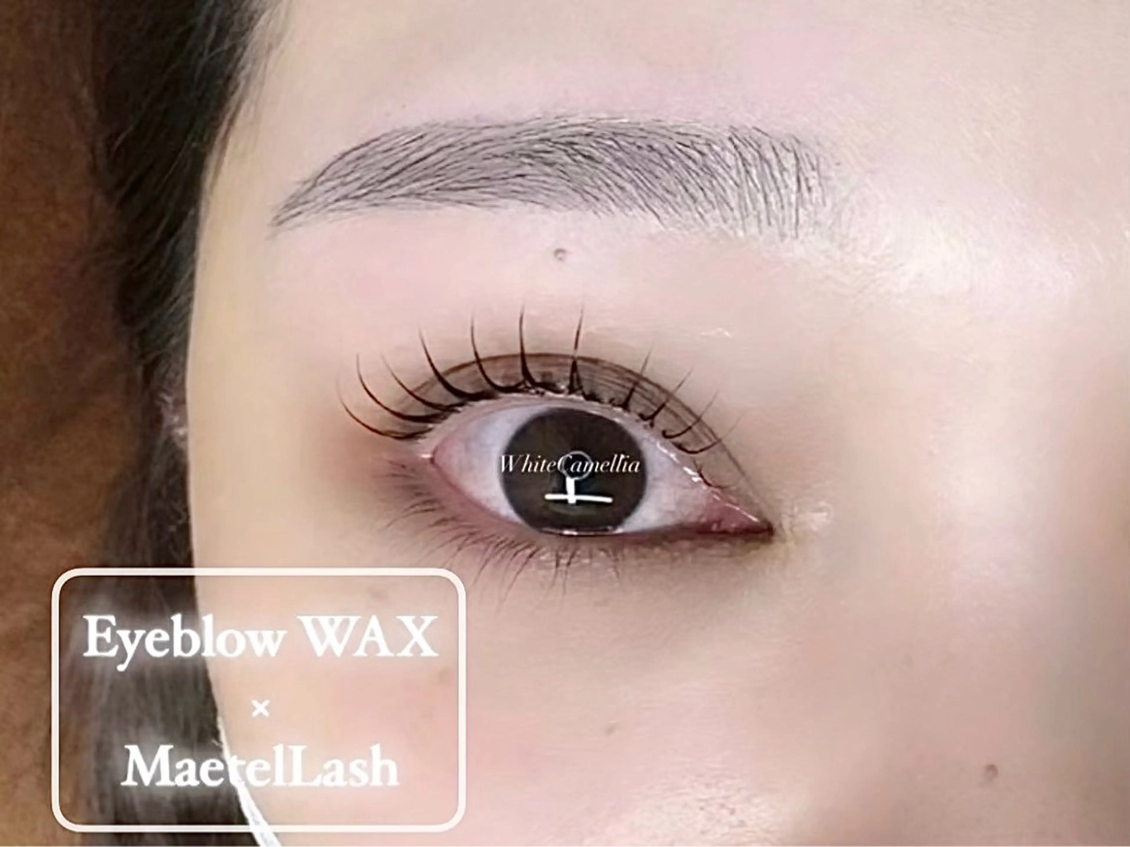 マツエク・マツパ 韓国風 束感まつ毛 🦋sanacoのマツエク・マツパデザイン