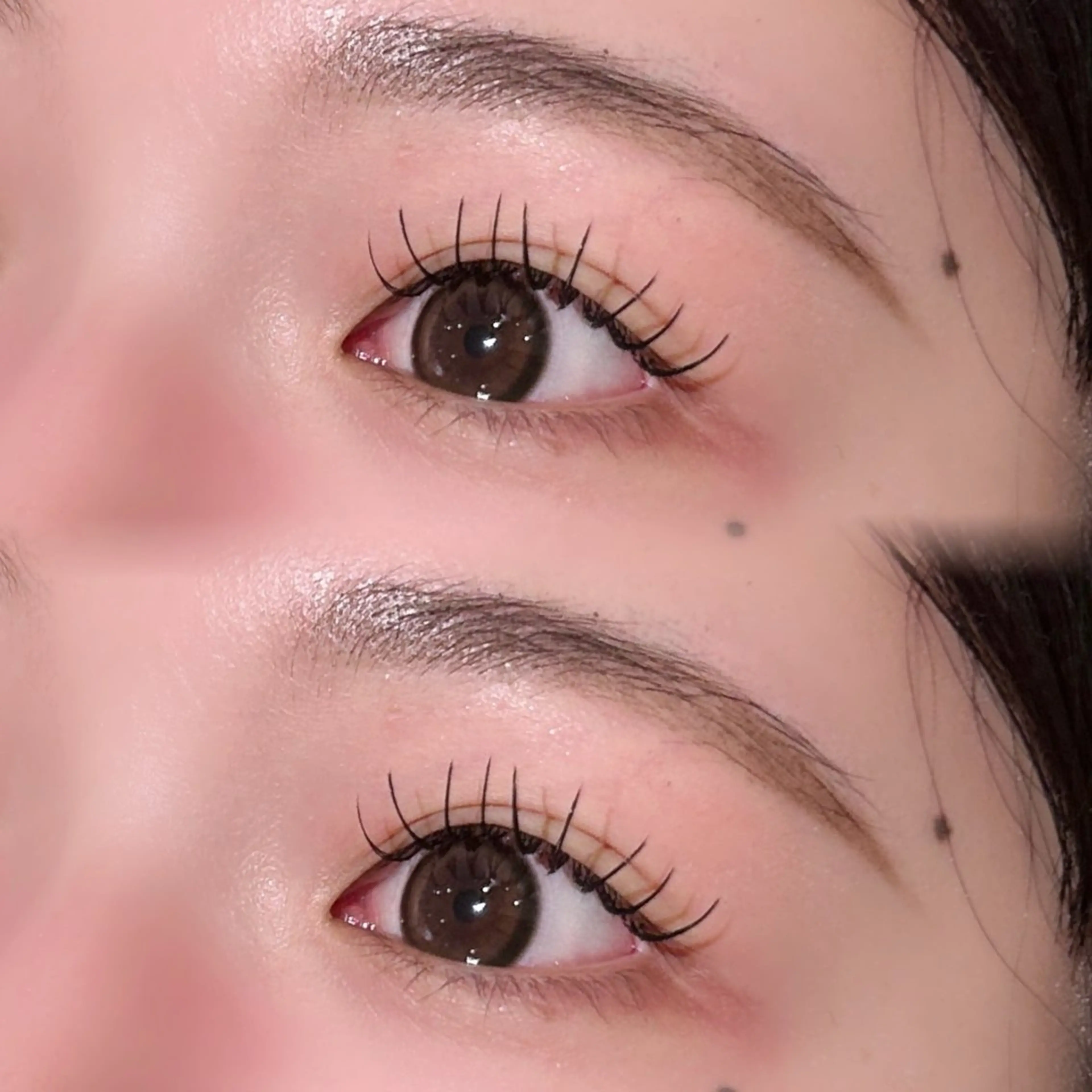 マツエク・マツパ sakura🎀 /プラチナムドールのマツエク・マツパデザイン