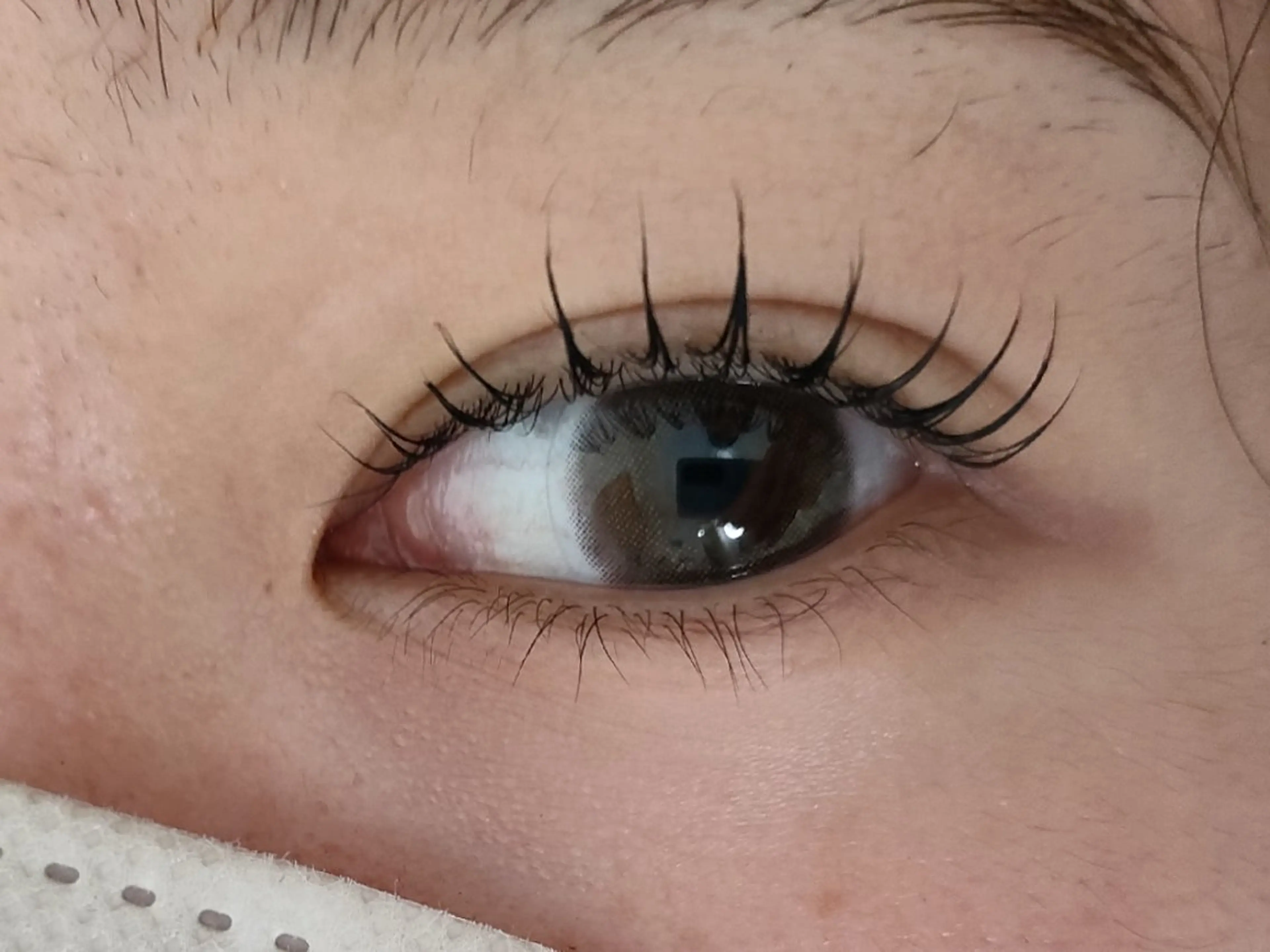 マツエク・マツパ 韓国風マツエク まつげパーマ ワンホンマツエク ほわいと あざぶのマツエク・マツパデザイン