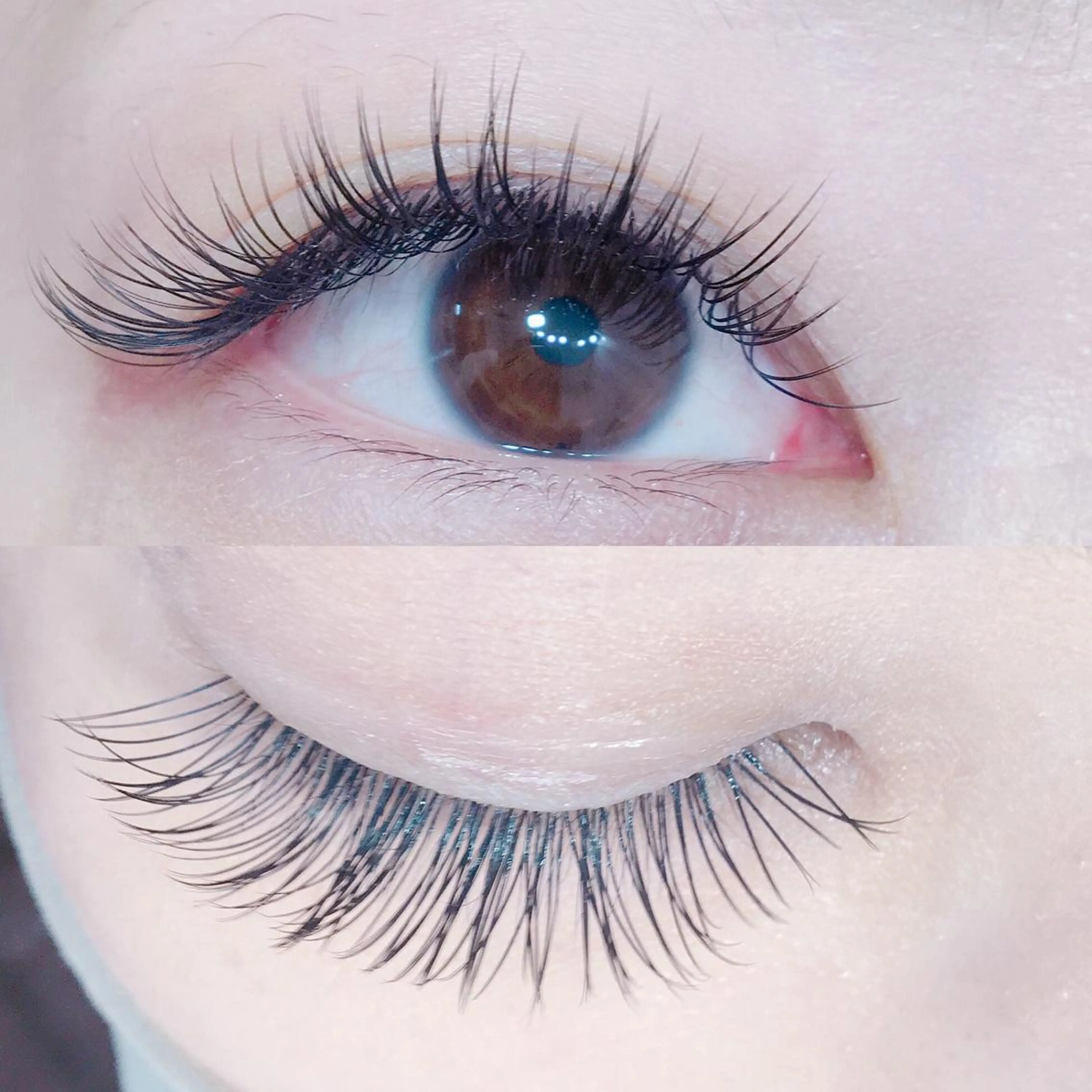 マツエク・マツパ Cカール フラットラッシュ フェリス浦和店所属・Feriz 浦和 丹野のマツエク・マツパデザイン