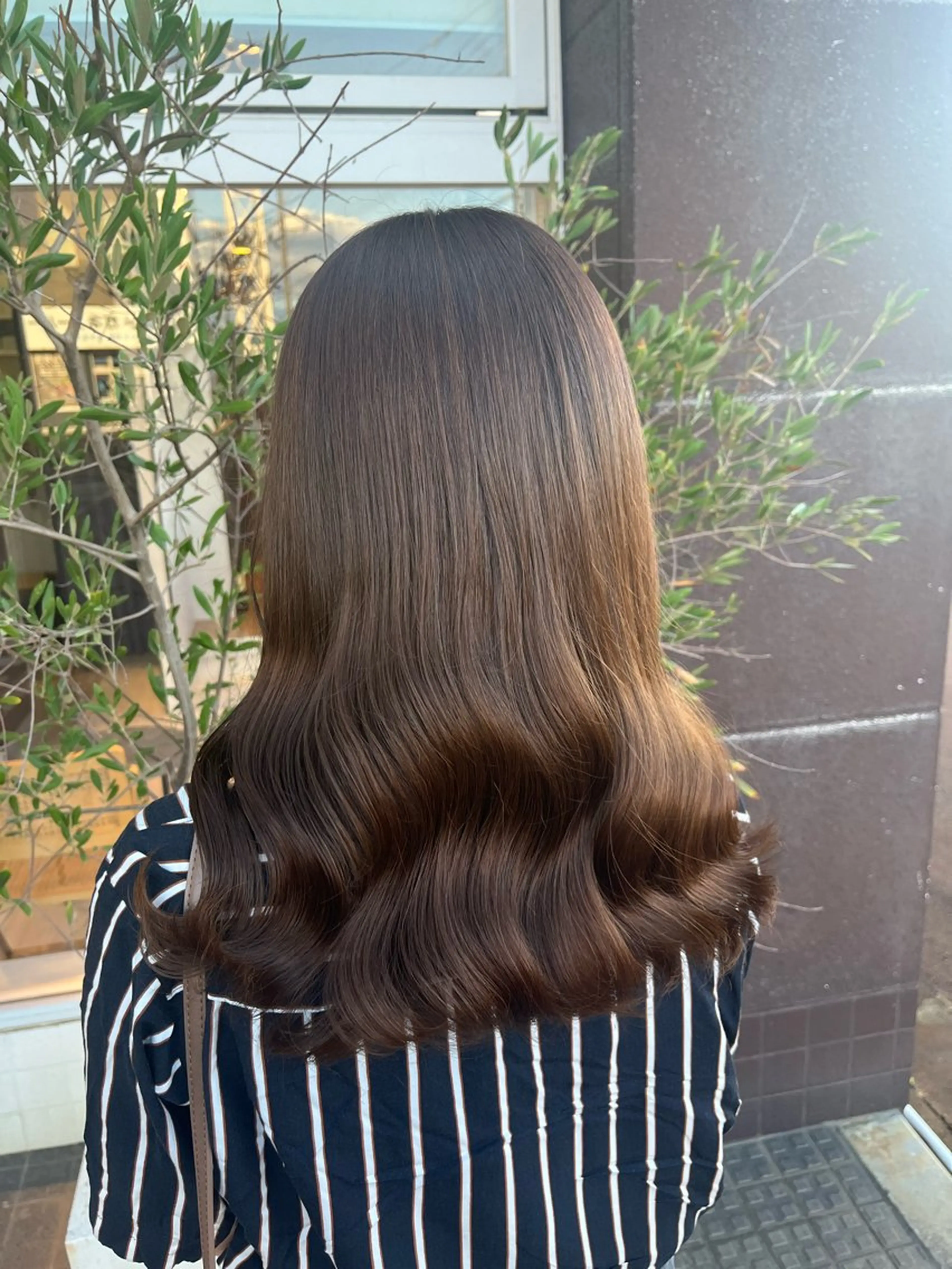 透明感アドミオカラー + 前処理トリートメント❣️の写真